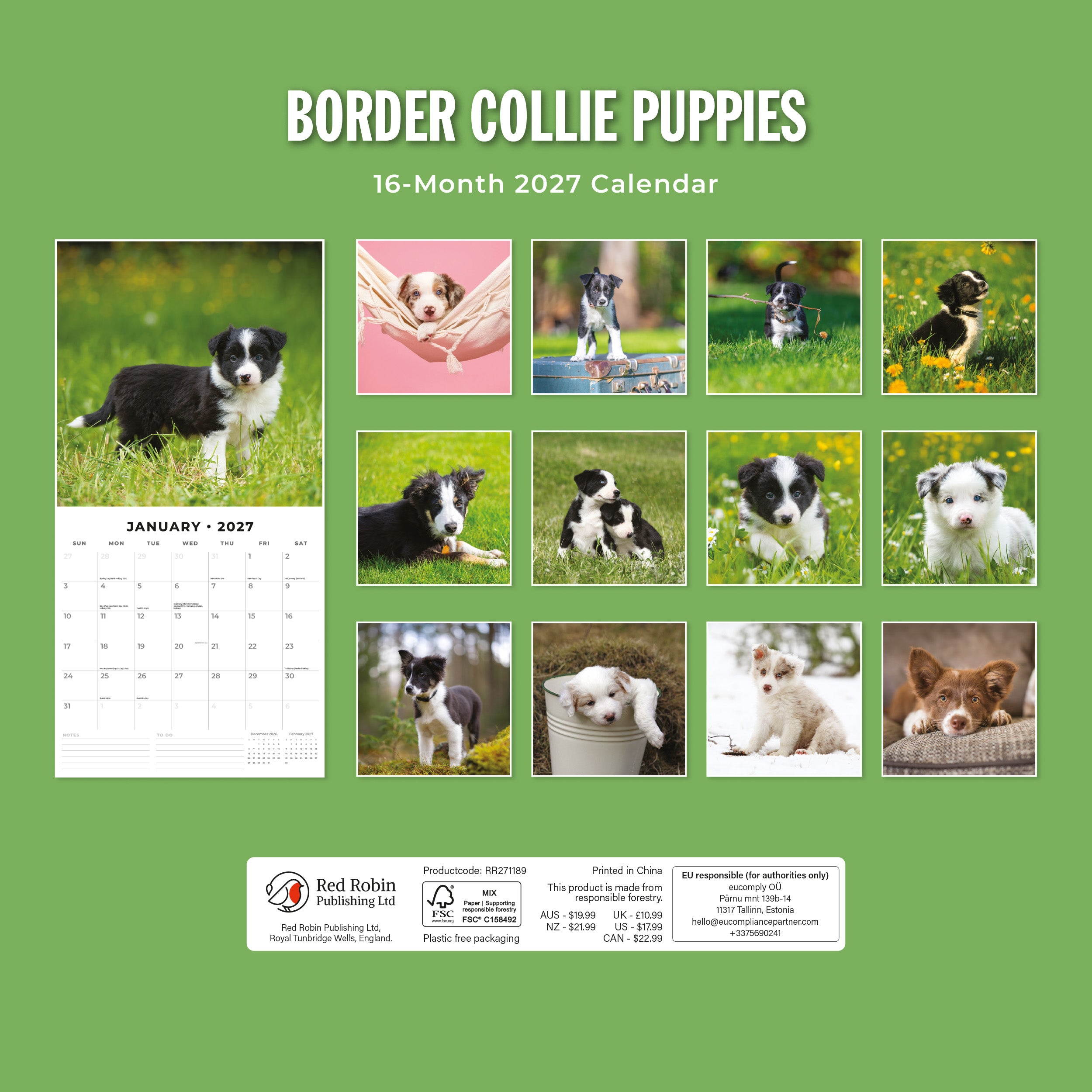 2027 Border Collie Puppies - Square Wall Calendar
