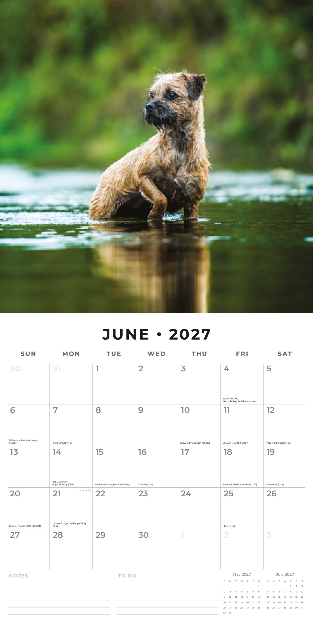 2027 Border Terriers - Square Wall Calendar