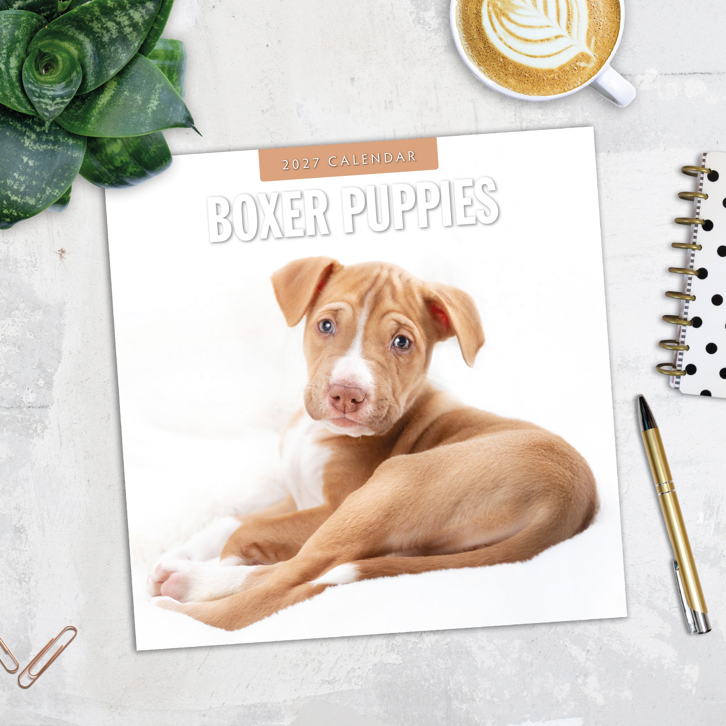 2027 Boxer Puppies - Square Wall Calendar