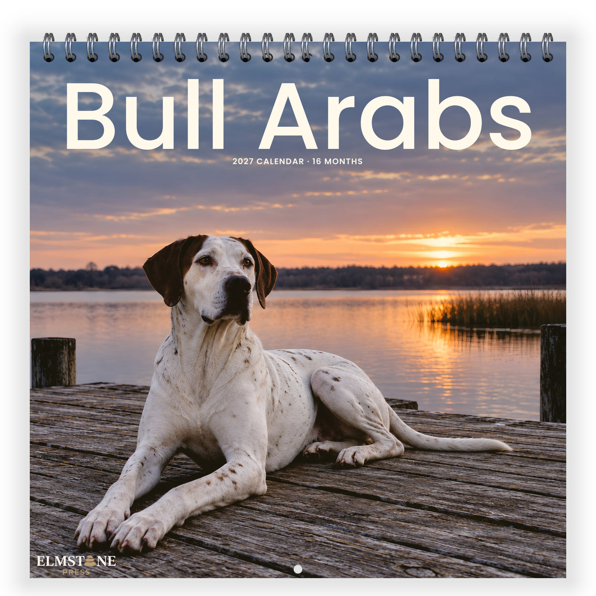 Bull_Arabs_-_649310202850_-_01-front-cover-white.jpg