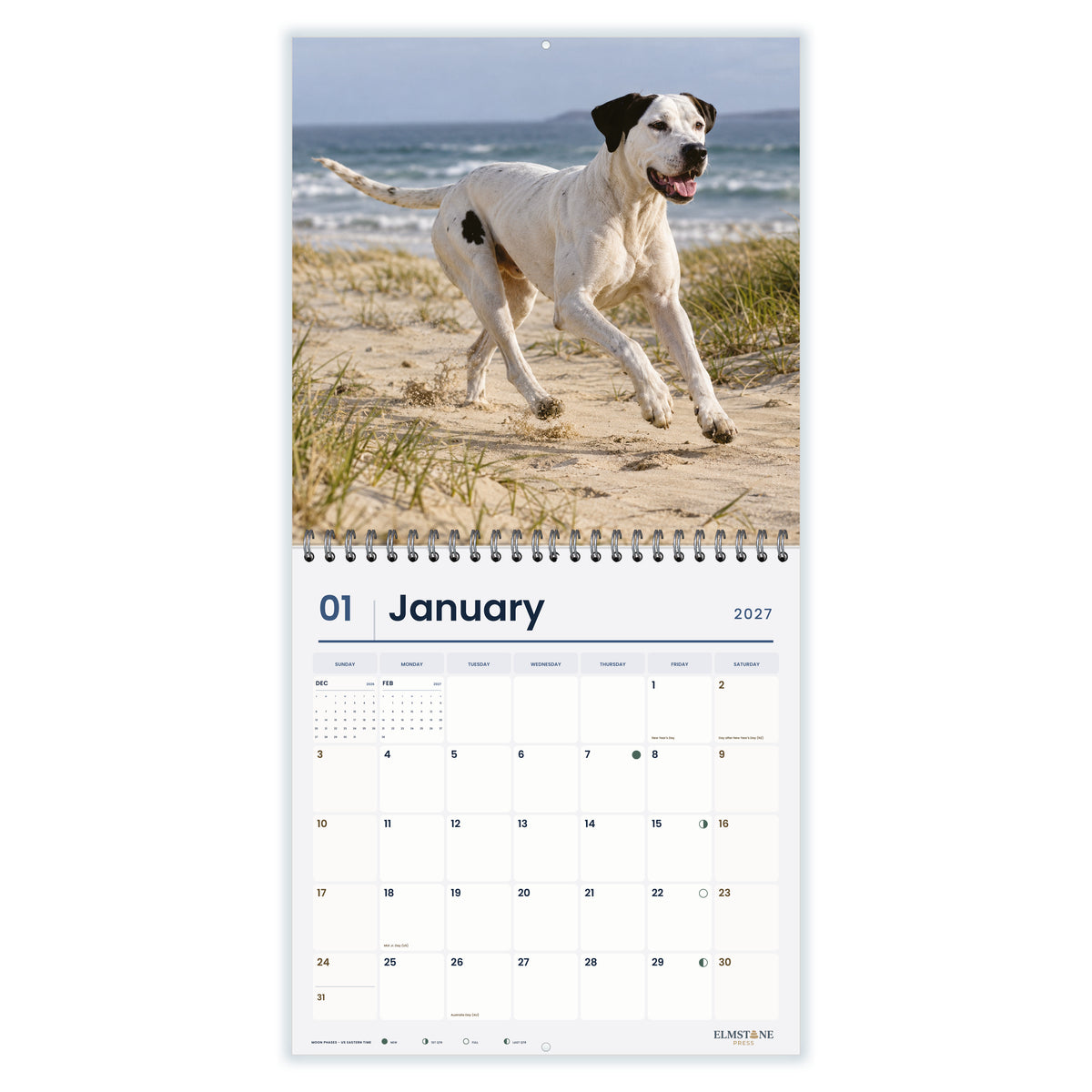 Bull_Arabs_-_649310202850_-_02-january-open-white.jpg