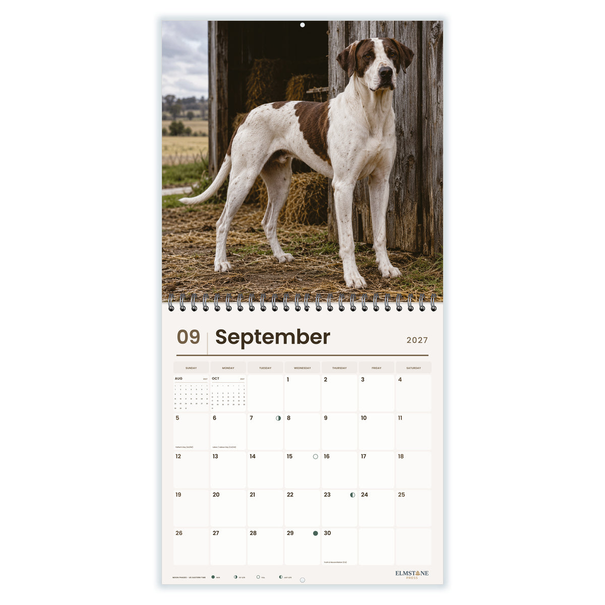 Bull_Arabs_-_649310202850_-_04-september-open-white.jpg