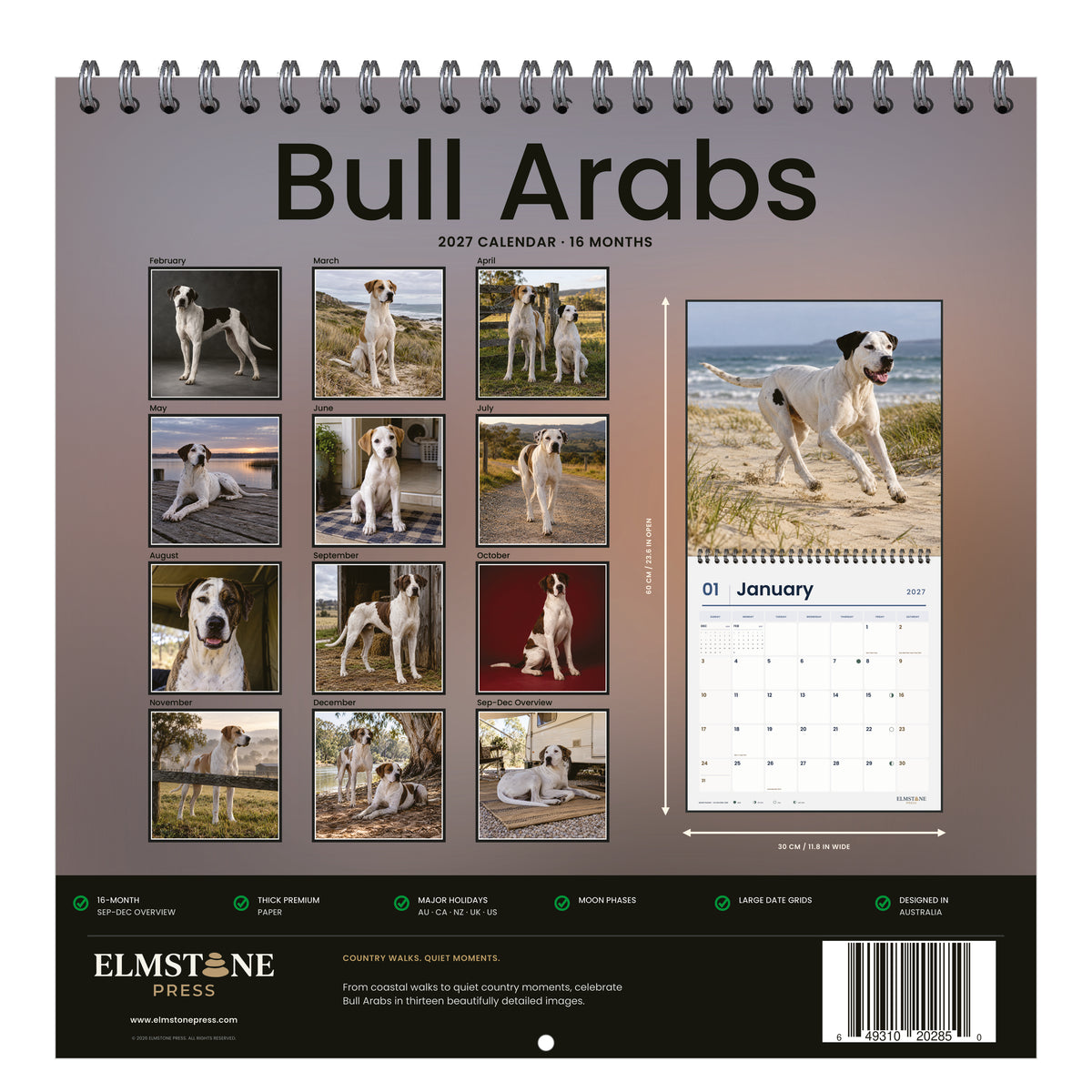 Bull_Arabs_-_649310202850_-_05-back-cover-white.jpg