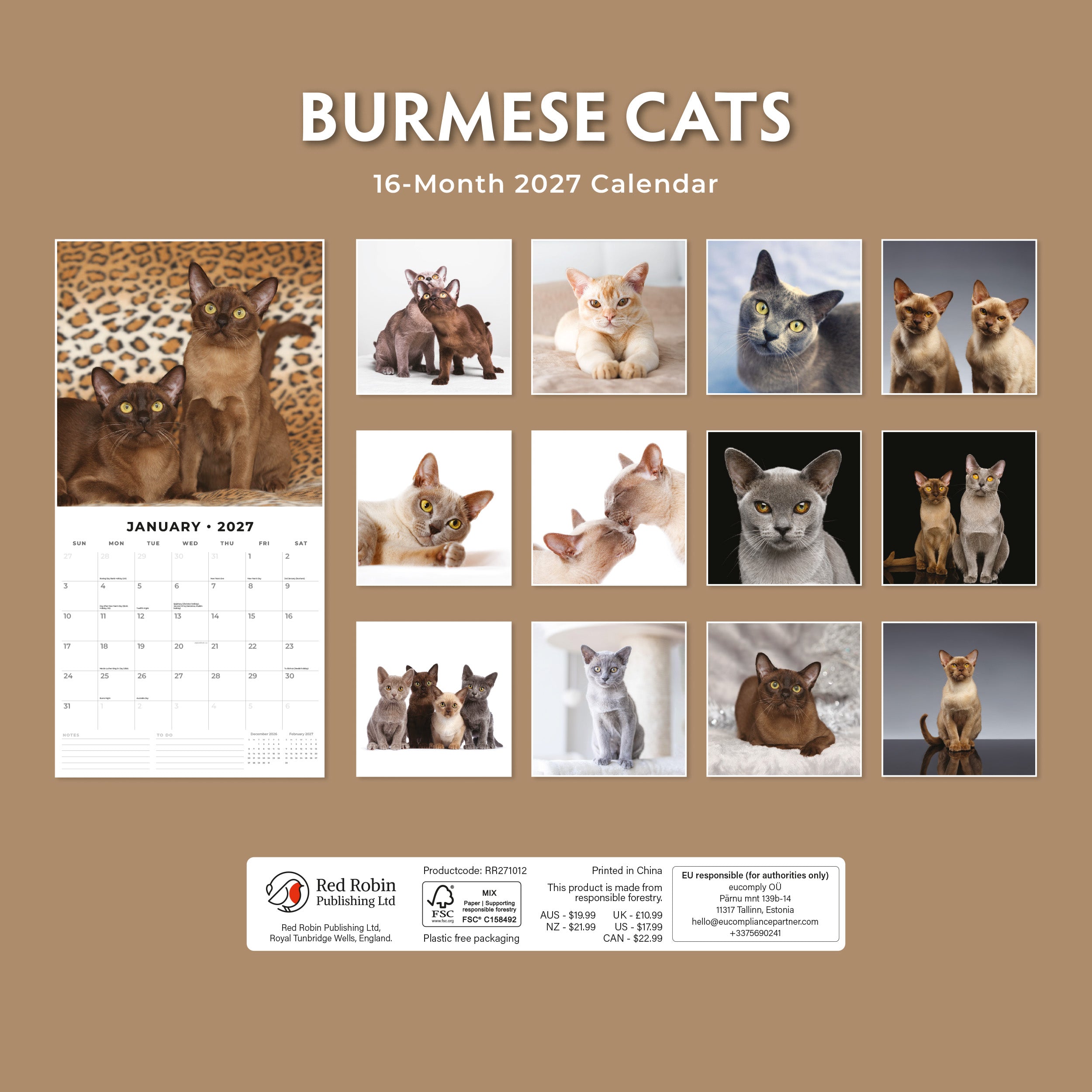 2027 Burmese Cats - Square Wall Calendar