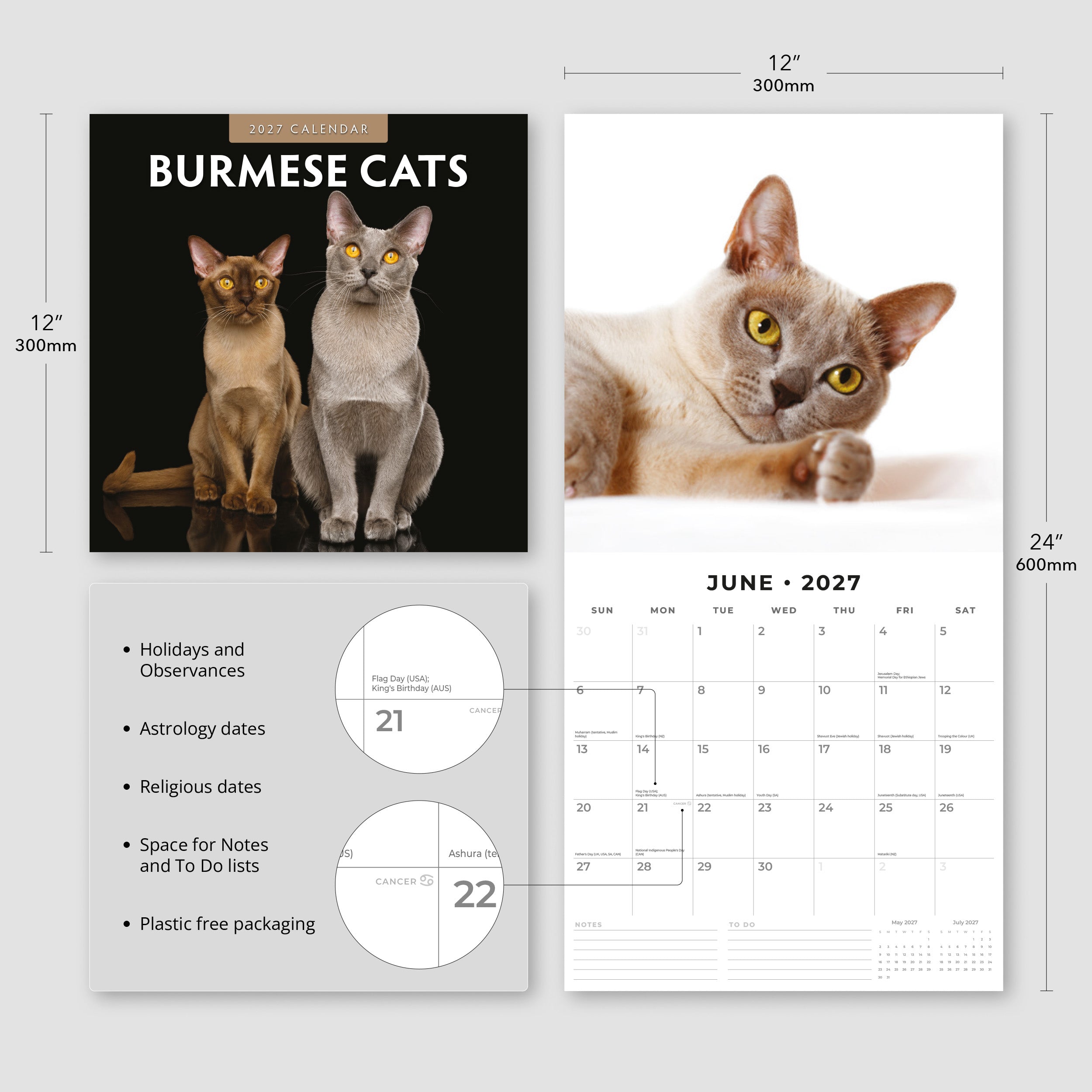 2027 Burmese Cats - Square Wall Calendar