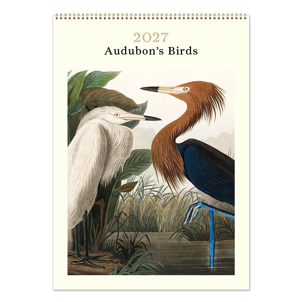 2027 Audubon's Birds - Deluxe Wall Calendar
