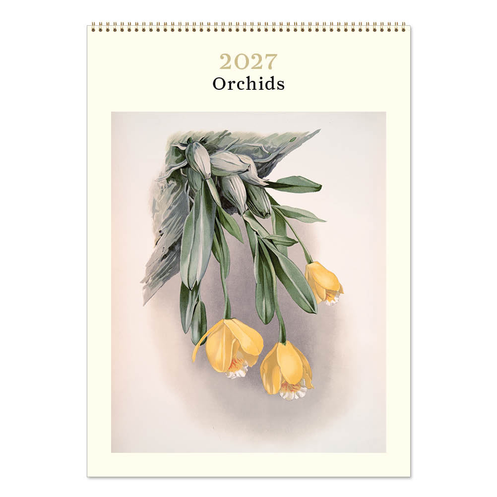 2027 Orchids - Deluxe Wall Calendar
