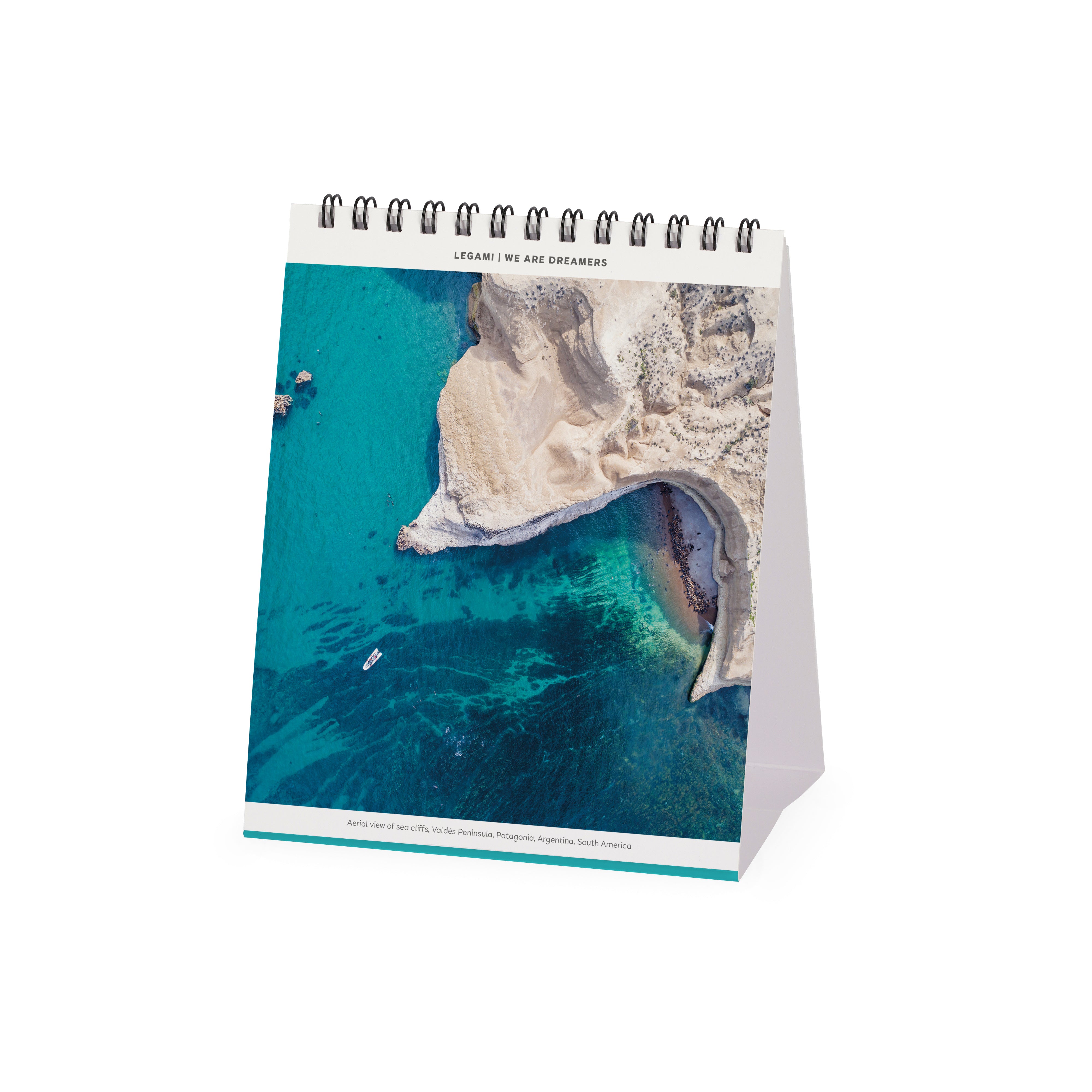 2026 Vitamin Sea - Desk Easel Calendar