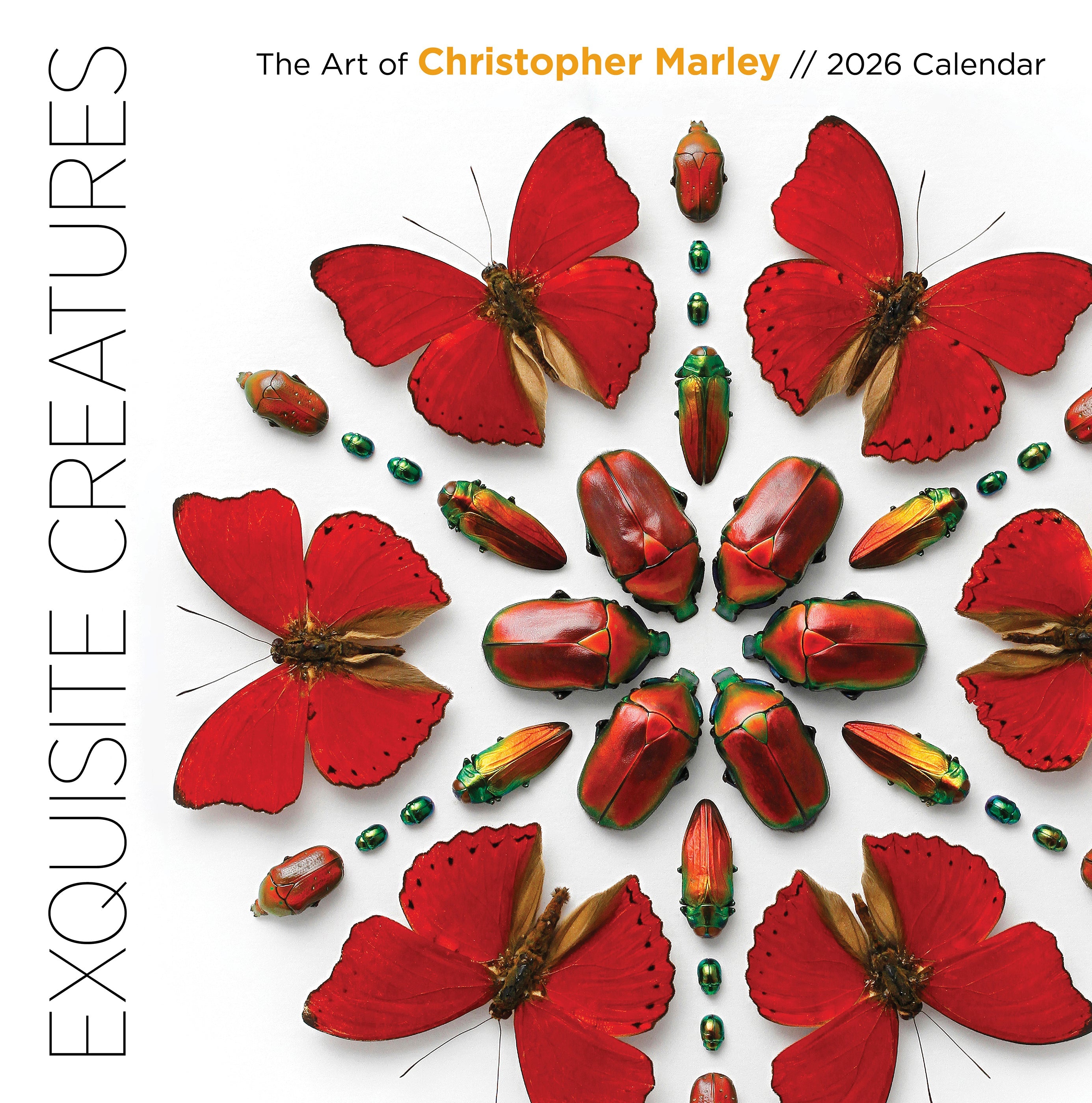 2026 Exquisite Creatures: The Art of Christopher Marley - Square Wall Calendar