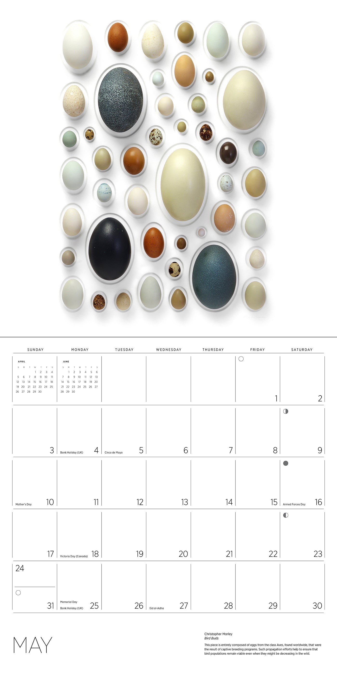2026 Exquisite Creatures: The Art of Christopher Marley - Square Wall Calendar