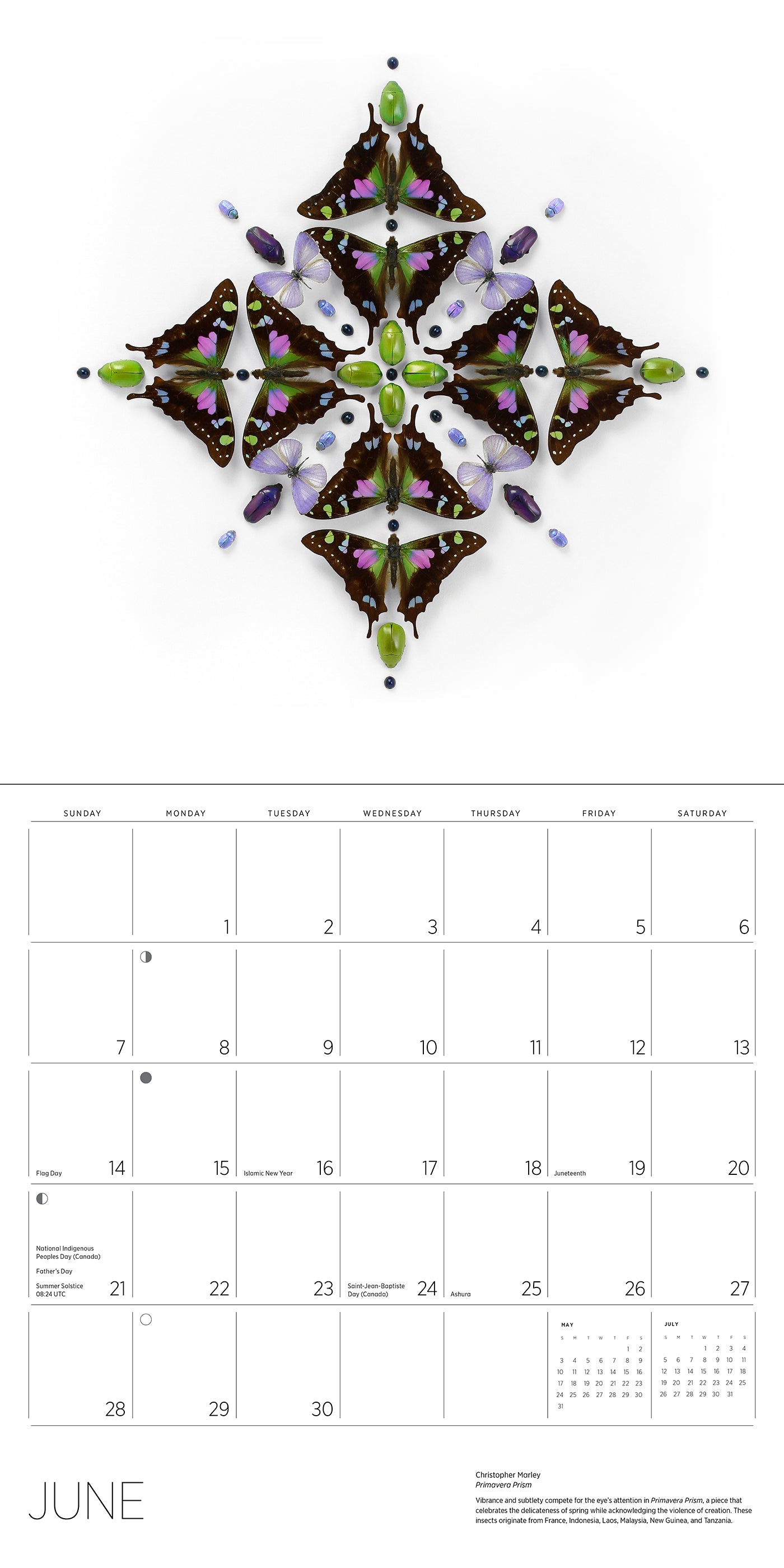 2026 Exquisite Creatures: The Art of Christopher Marley - Square Wall Calendar