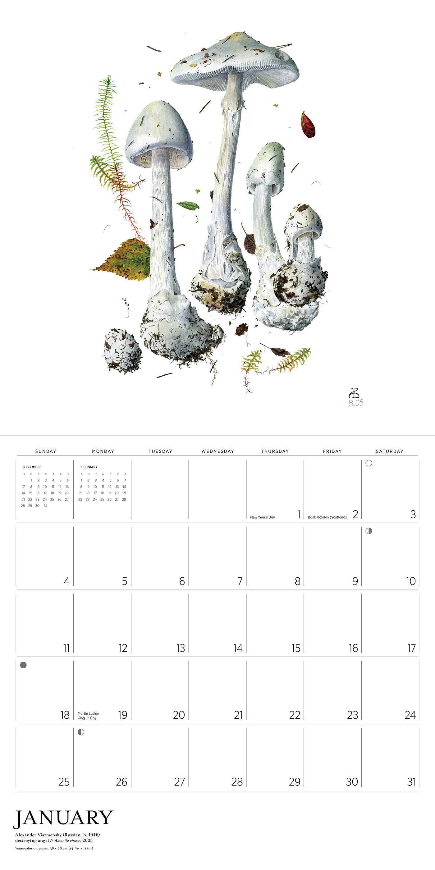 2026 Mushrooms: Alexander Viazmensky - Square Wall Calendar