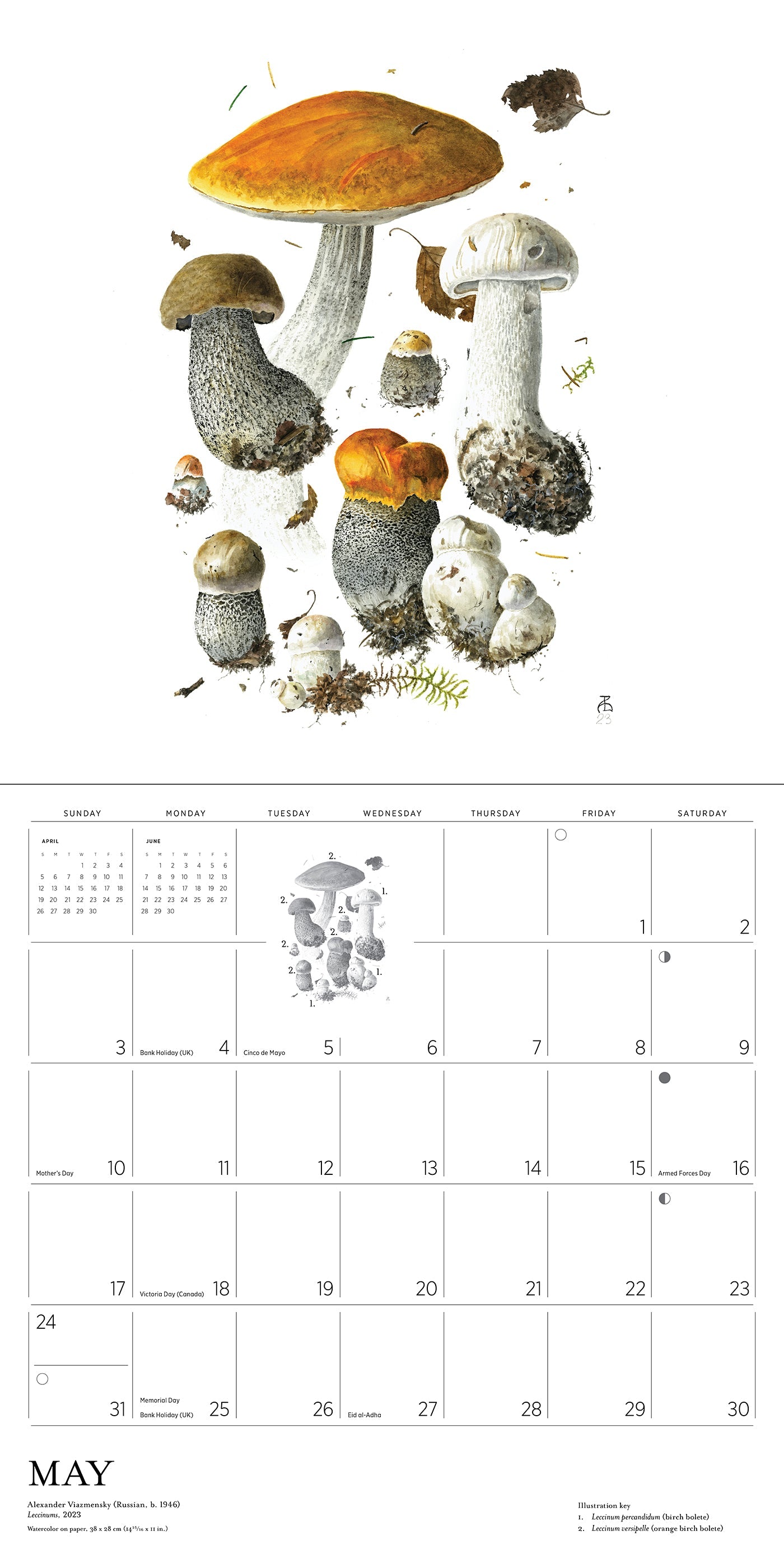 2026 Mushrooms: Alexander Viazmensky - Square Wall Calendar