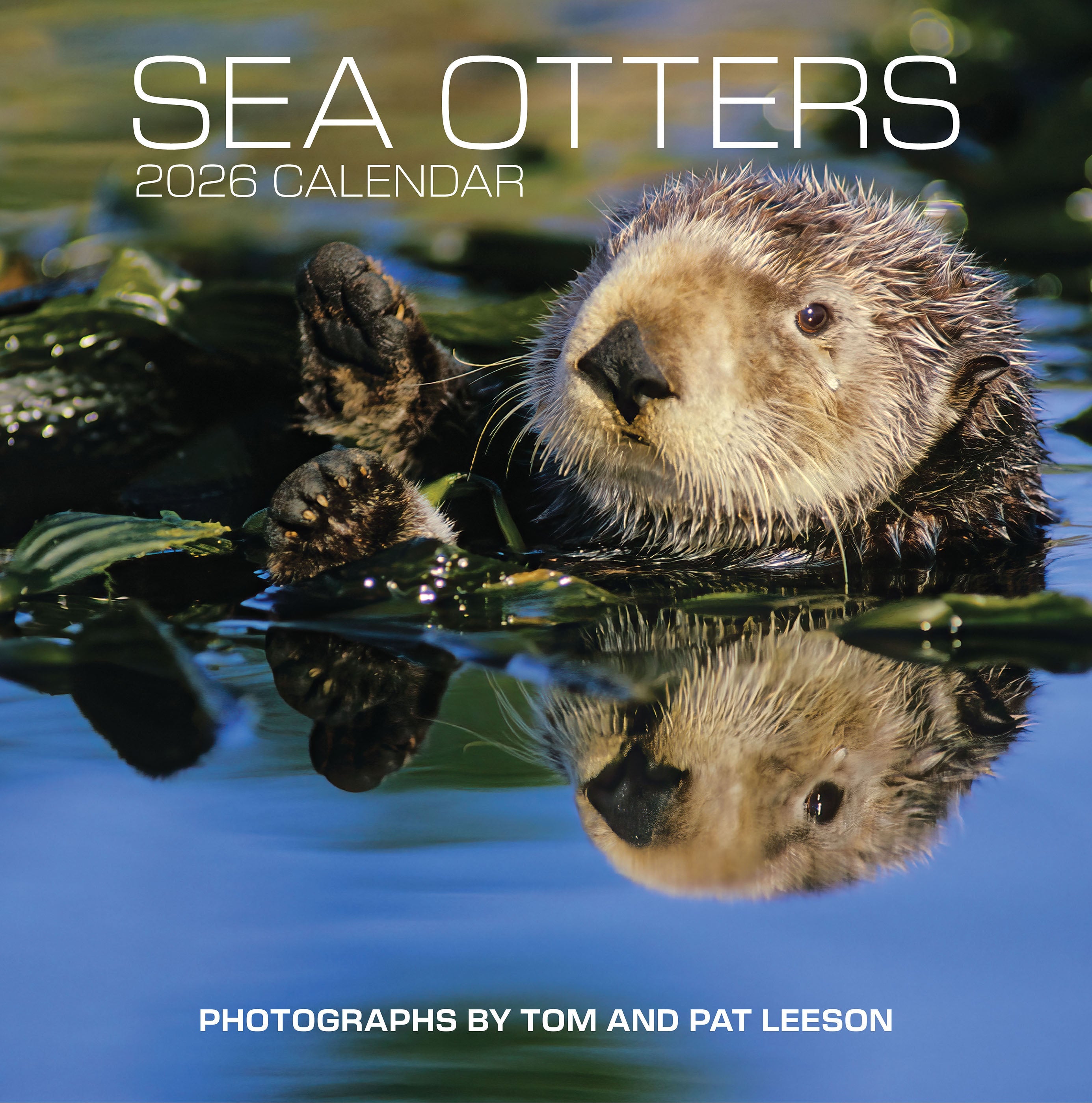 2026 Sea Otters: Photographs by Tom and Pat Leeson - Square Wall Calendar