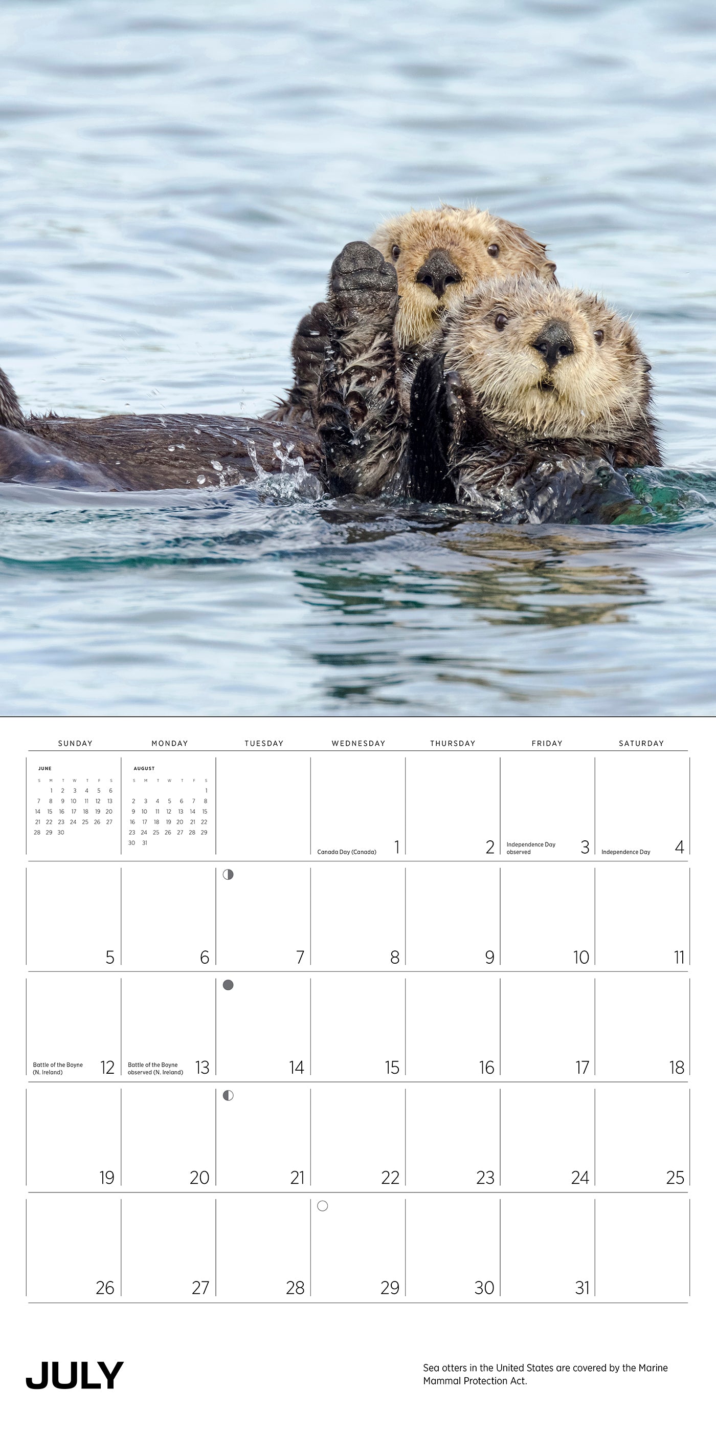 2026 Sea Otters: Photographs by Tom and Pat Leeson - Square Wall Calendar
