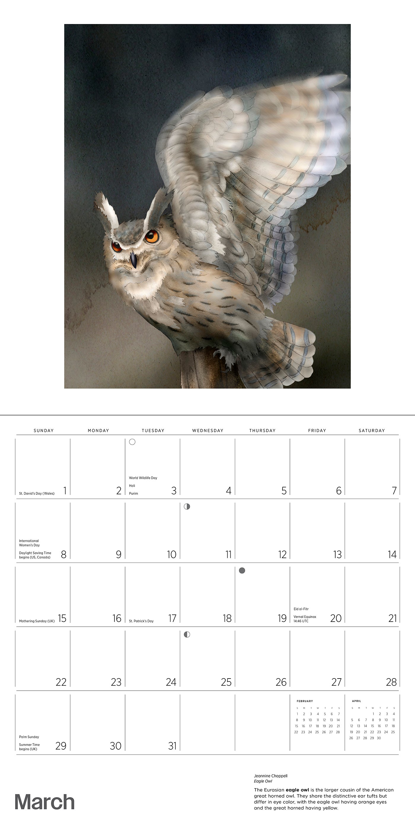 2026 Owls: Jeannine Chappell - Square Wall Calendar