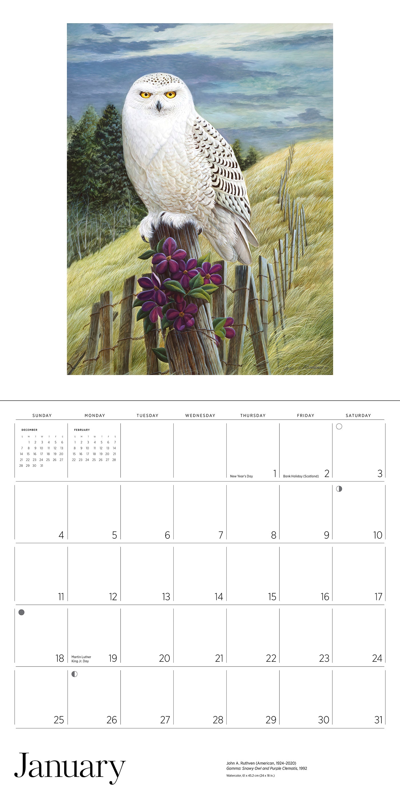 2026 A Birder's View: Paintings by John A. Ruthven - Square Wall Calendar