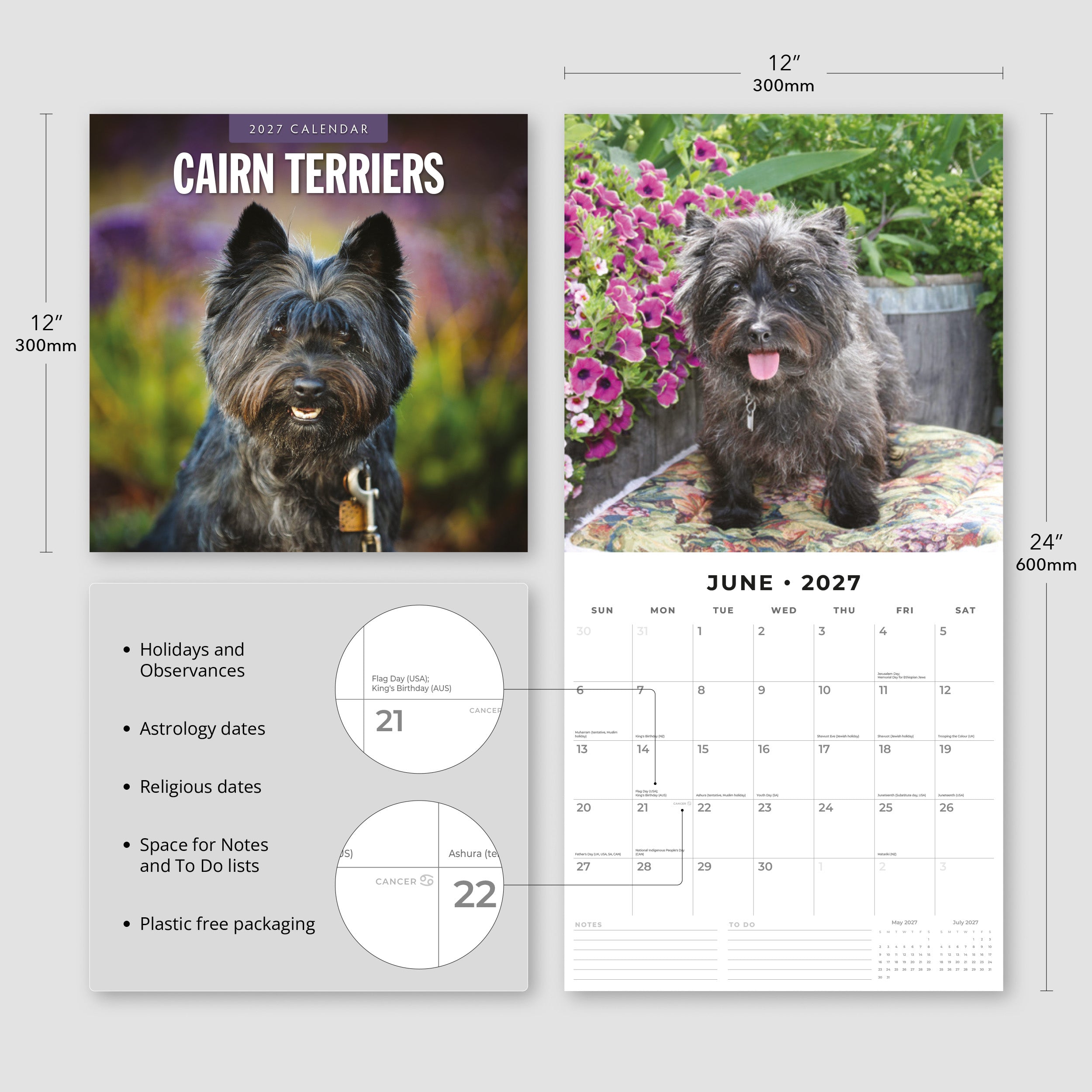 2027 Cairn Terriers - Square Wall Calendar