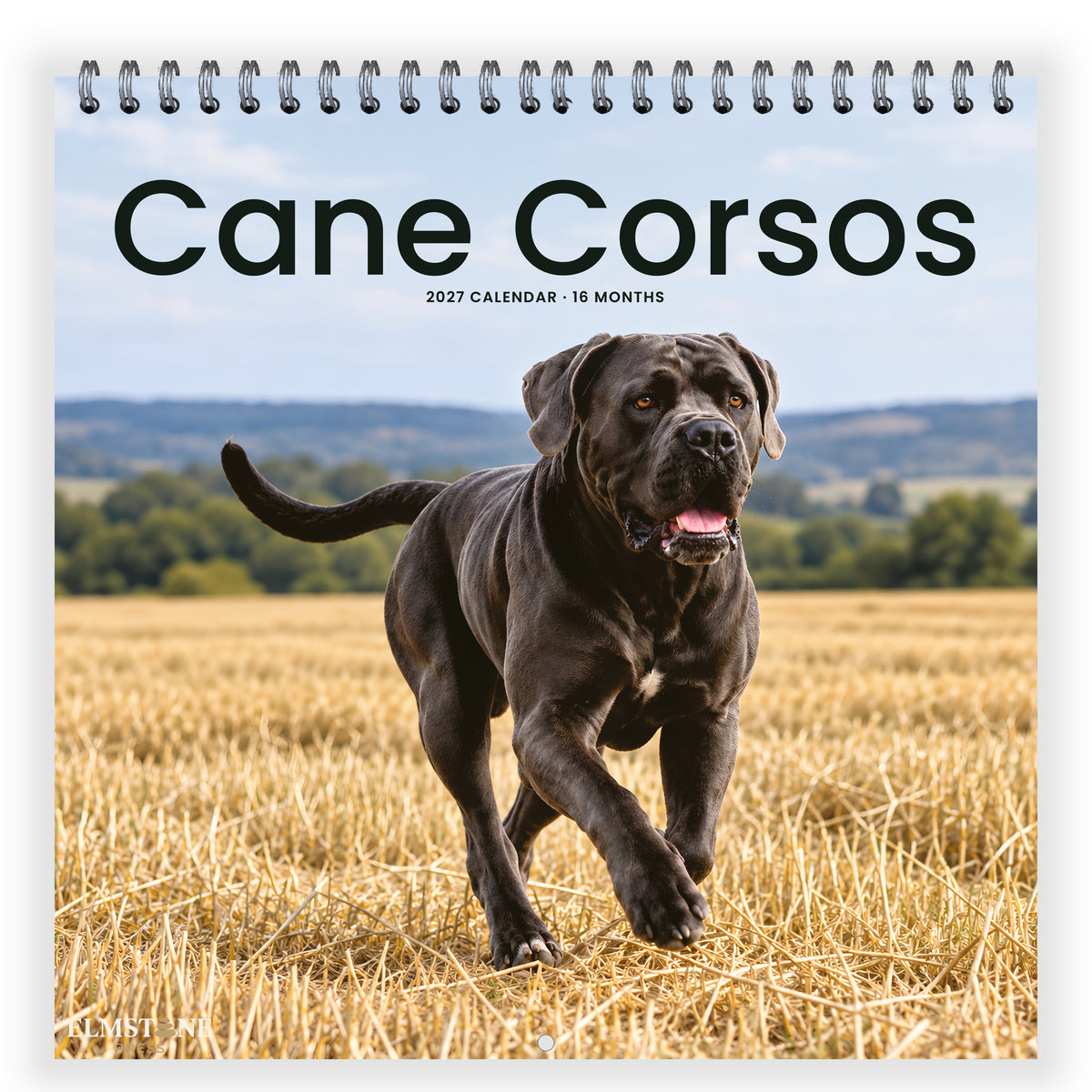Cane_Corsos_-_649310203079_-_01-front-cover-white.jpg