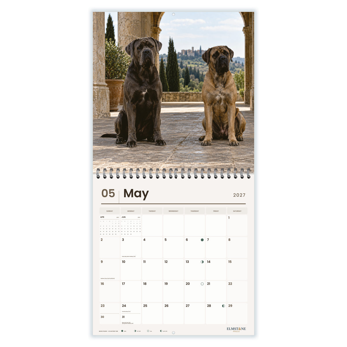 Cane_Corsos_-_649310203079_-_03-may-open-white.jpg