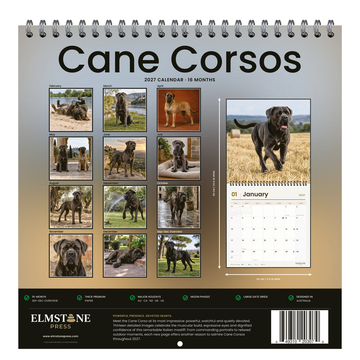 Cane_Corsos_-_649310203079_-_05-back-cover-white.jpg
