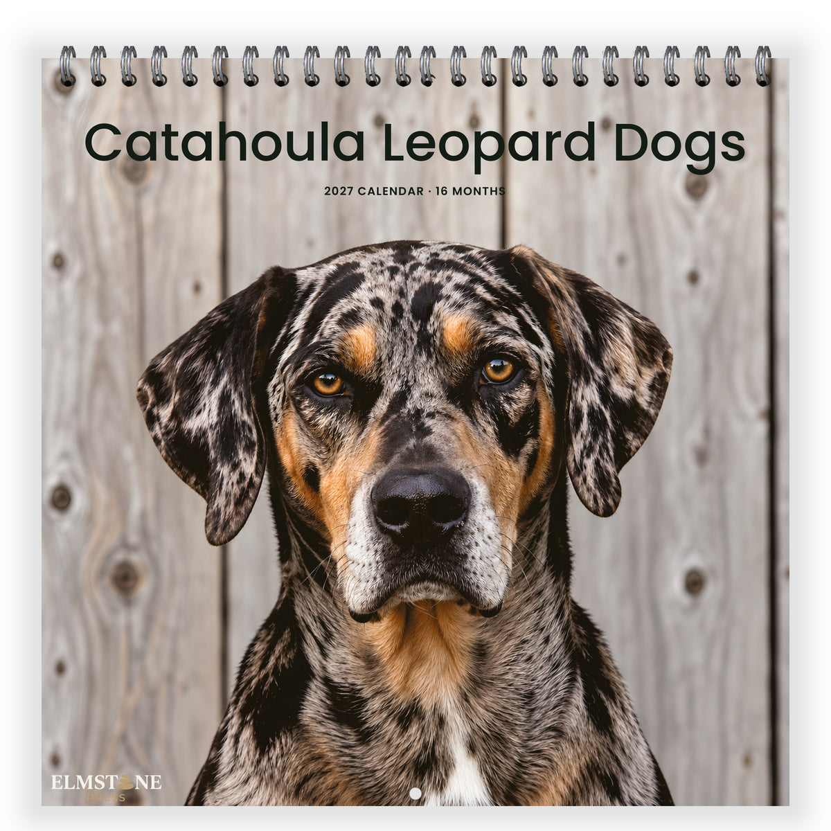 Catahoula_Leopard_Dogs_-_649310203086_-_01-front-cover-white.jpg