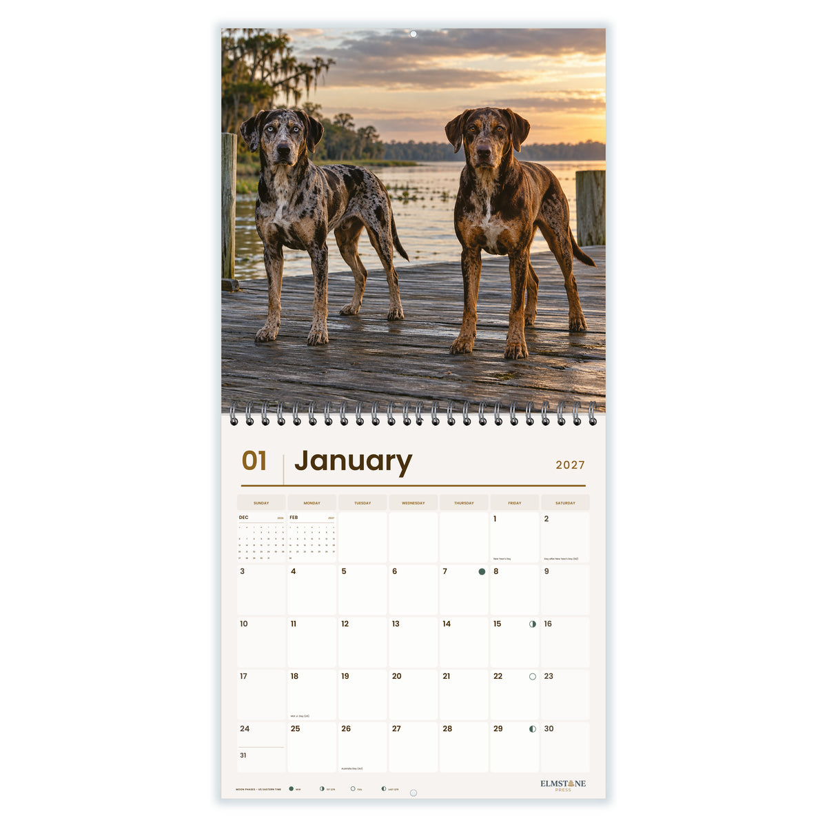 Catahoula_Leopard_Dogs_-_649310203086_-_02-january-open-white.jpg