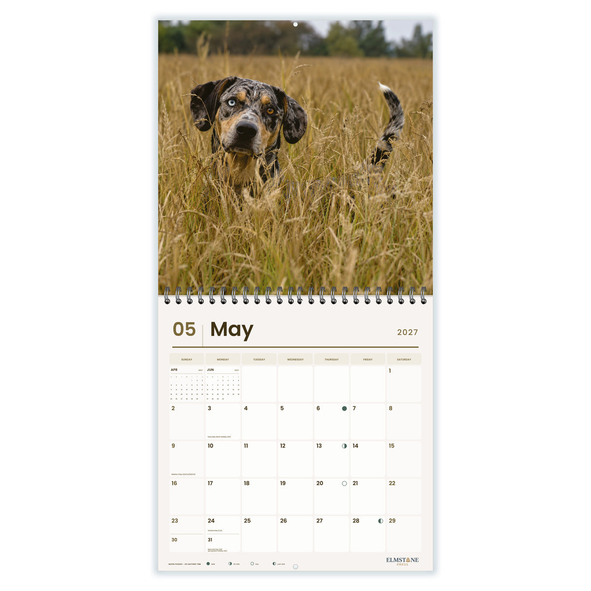 Catahoula_Leopard_Dogs_-_649310203086_-_03-may-open-white.jpg