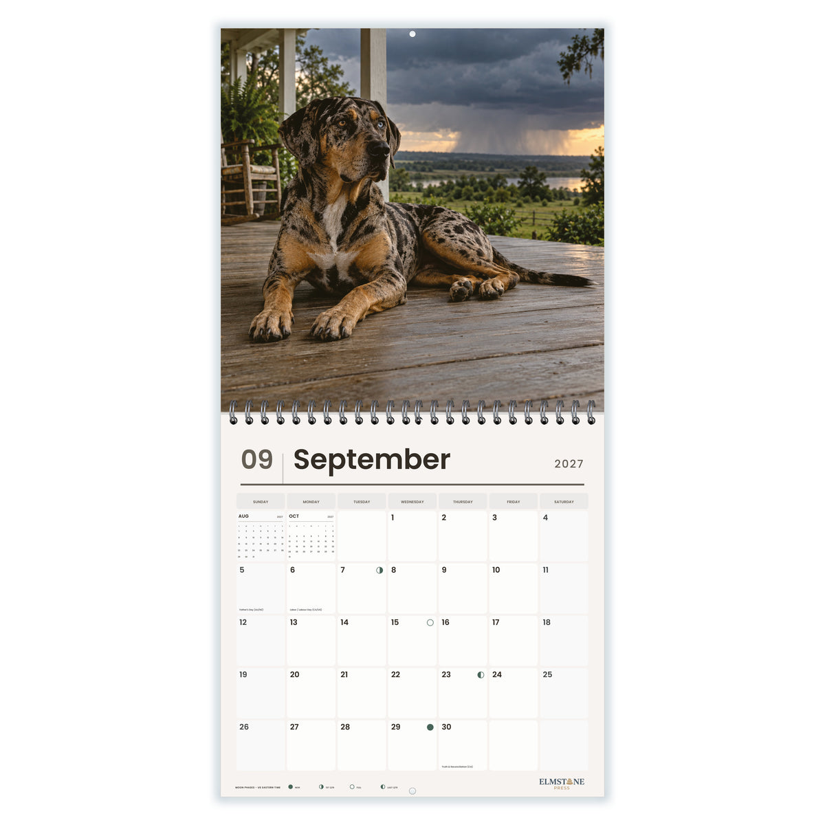 Catahoula_Leopard_Dogs_-_649310203086_-_04-september-open-white.jpg