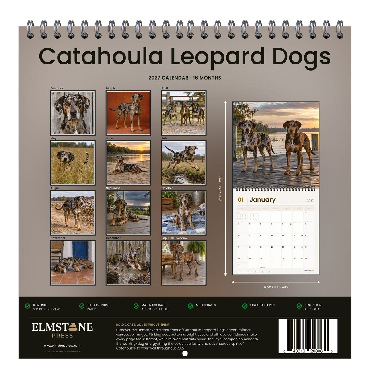 Catahoula_Leopard_Dogs_-_649310203086_-_05-back-cover-white.jpg