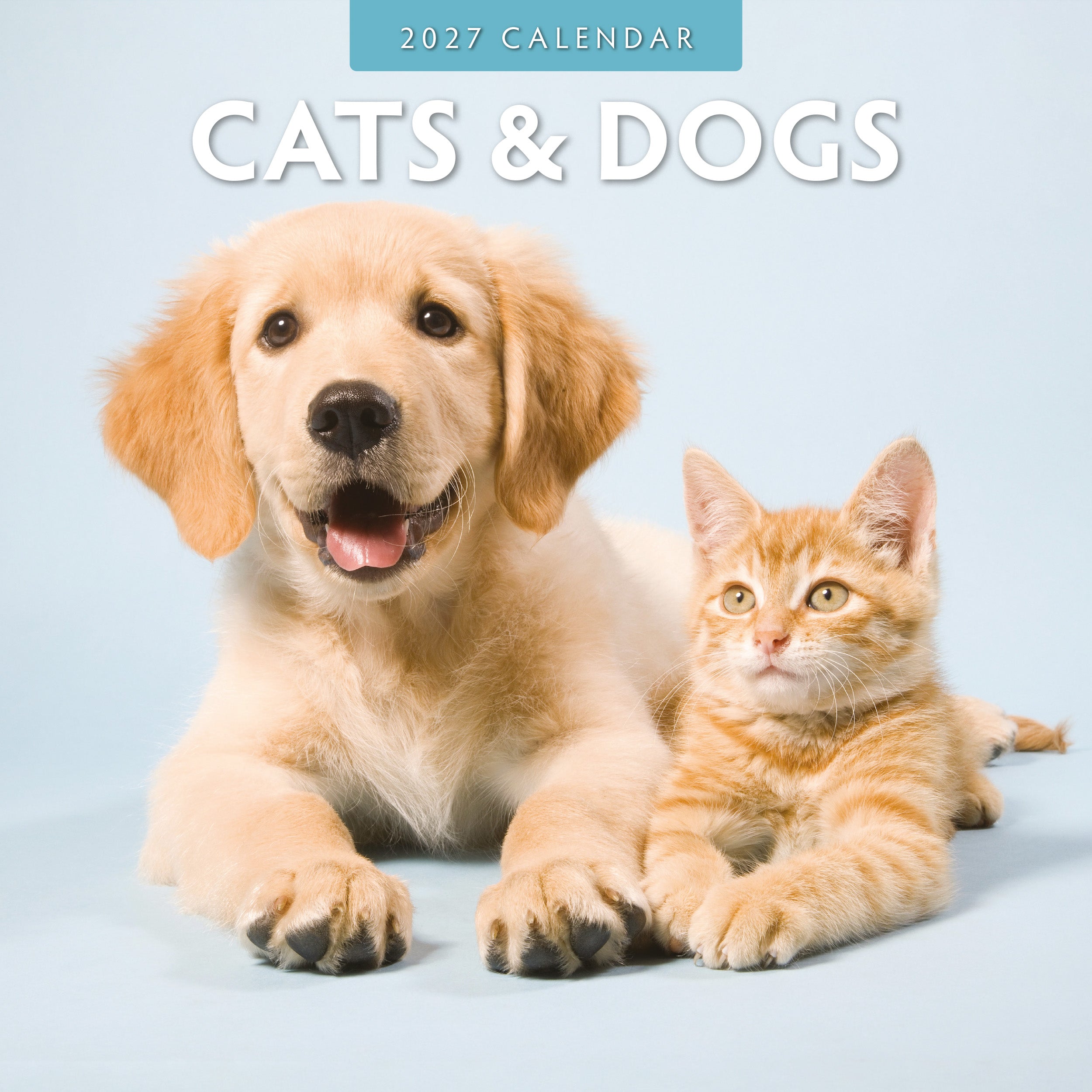 2027 Cats & Dogs - Square Wall Calendar