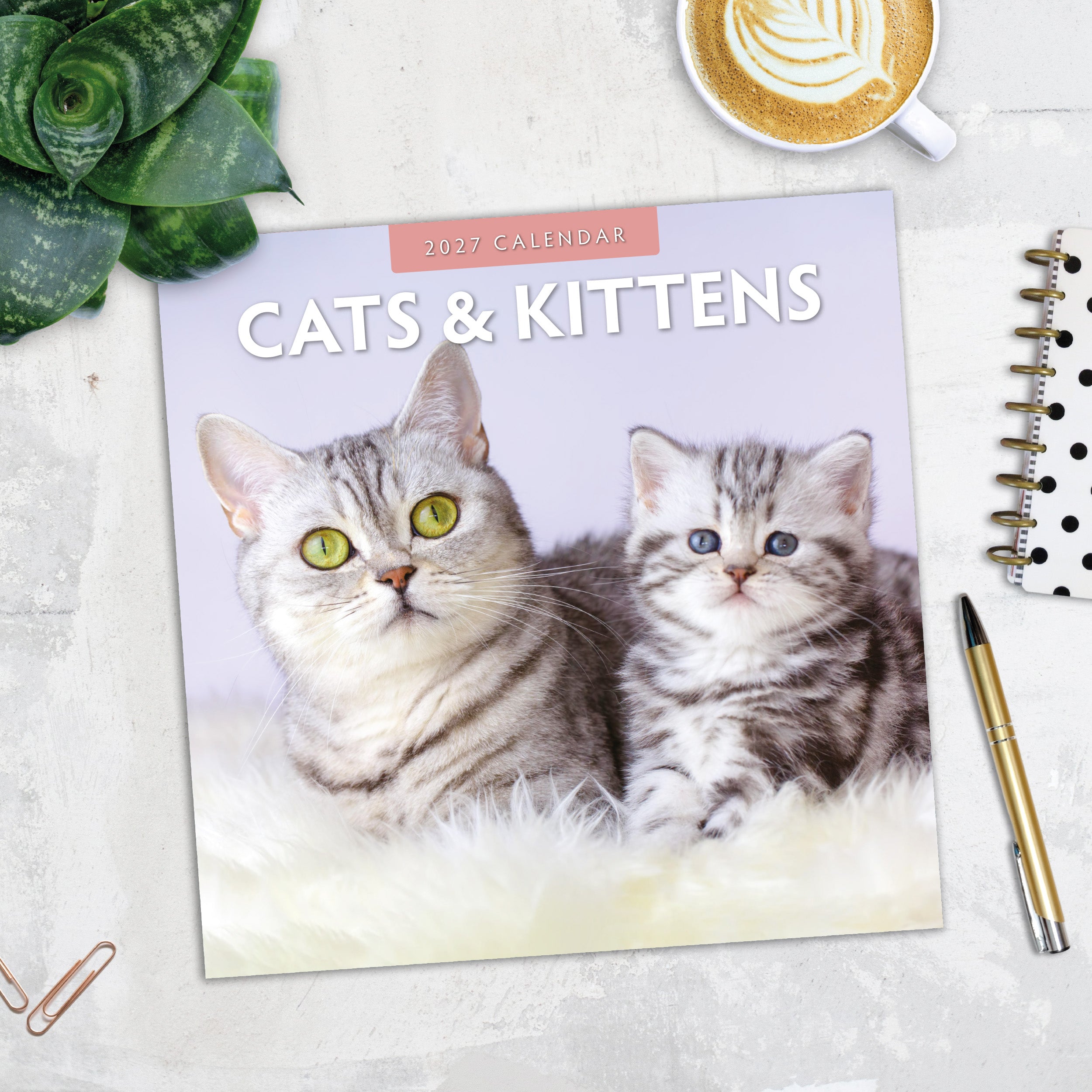2027 Cats & Kittens - Square Wall Calendar