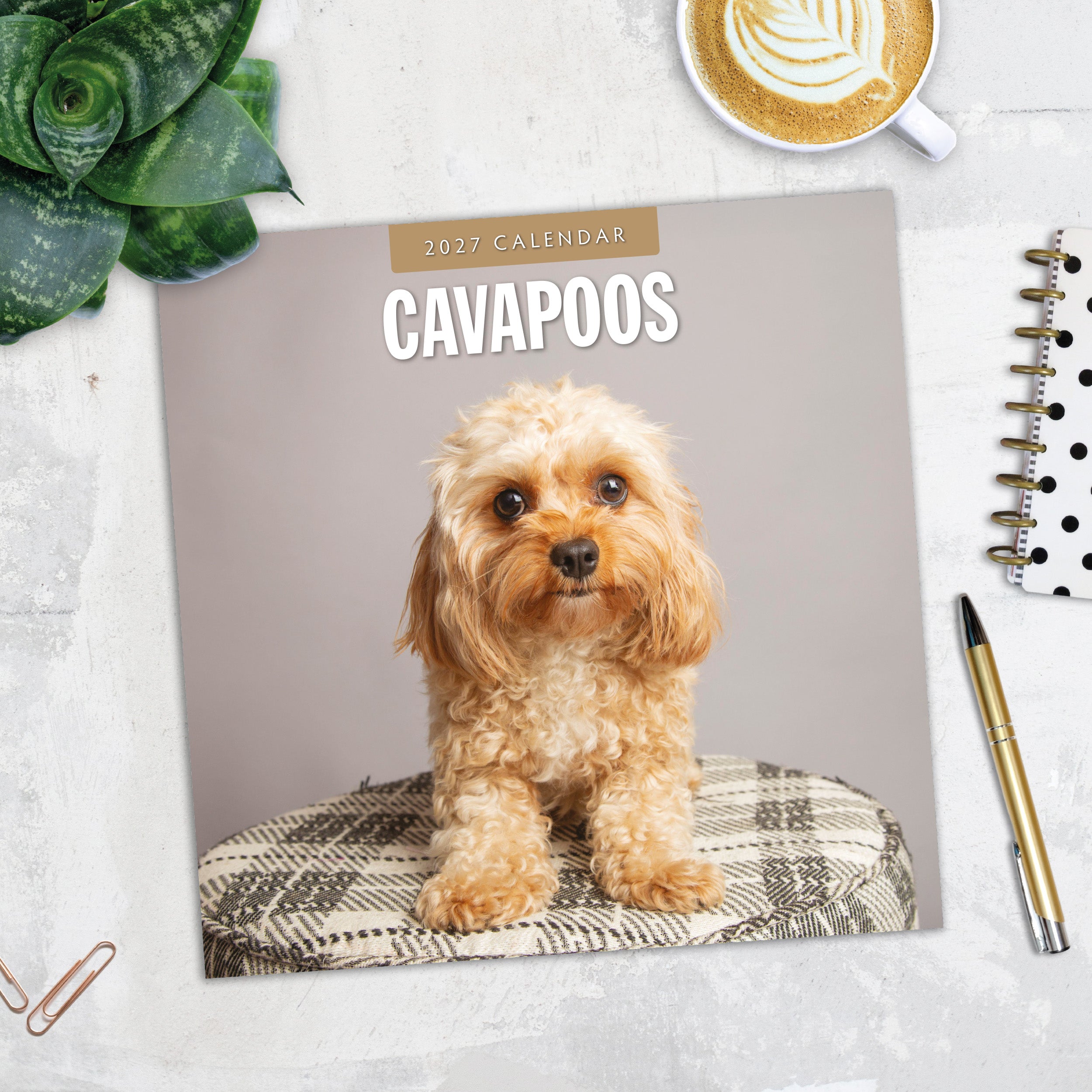 2027 Cavapoos - Square Wall Calendar