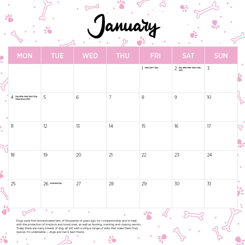 2027 Cavoodle - Square Wall Calendar
