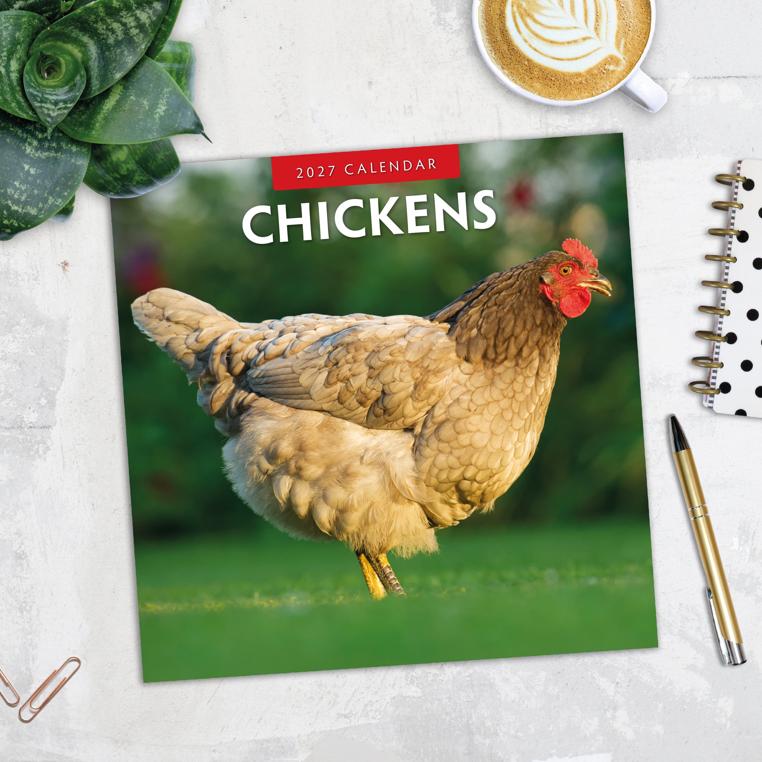 2027 Chickens - Square Wall Calendar