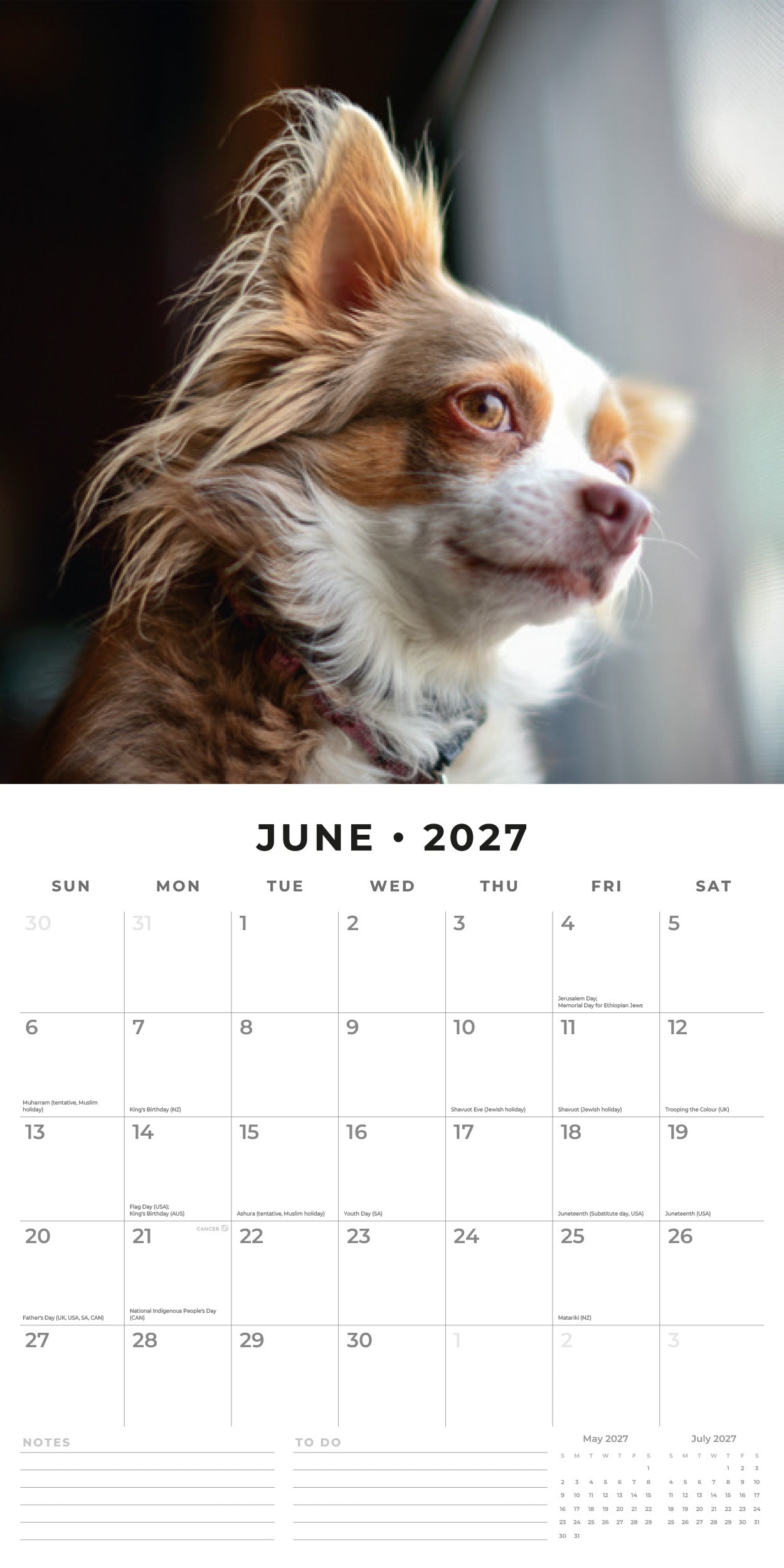 2027 Chihuahuas - Square Wall Calendar