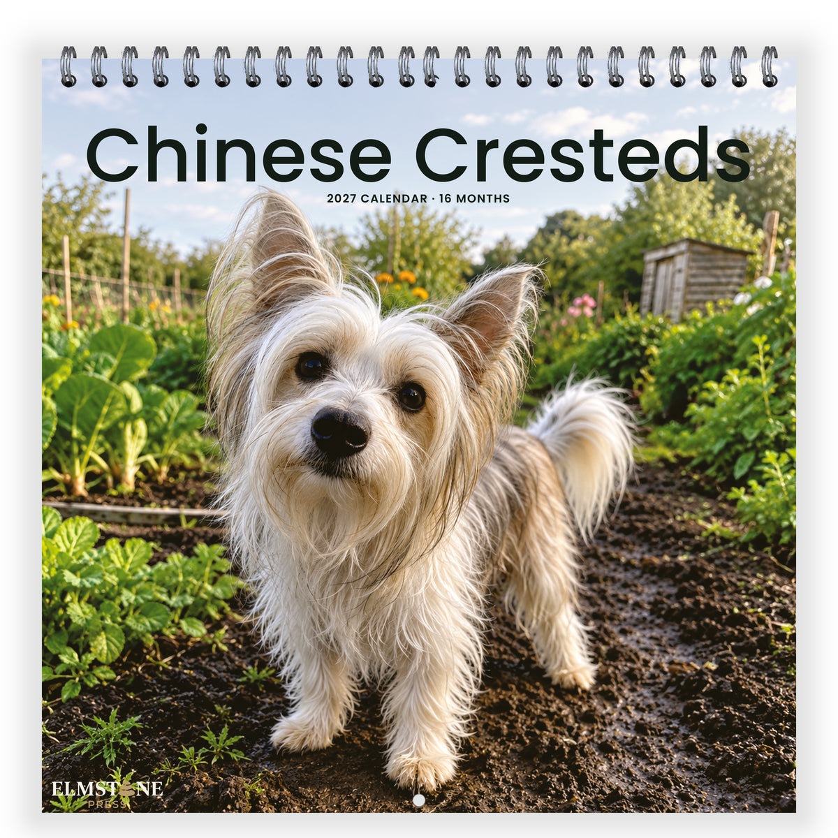 Chinese_Cresteds_-_649310203352_-_01-front-cover-white.jpg