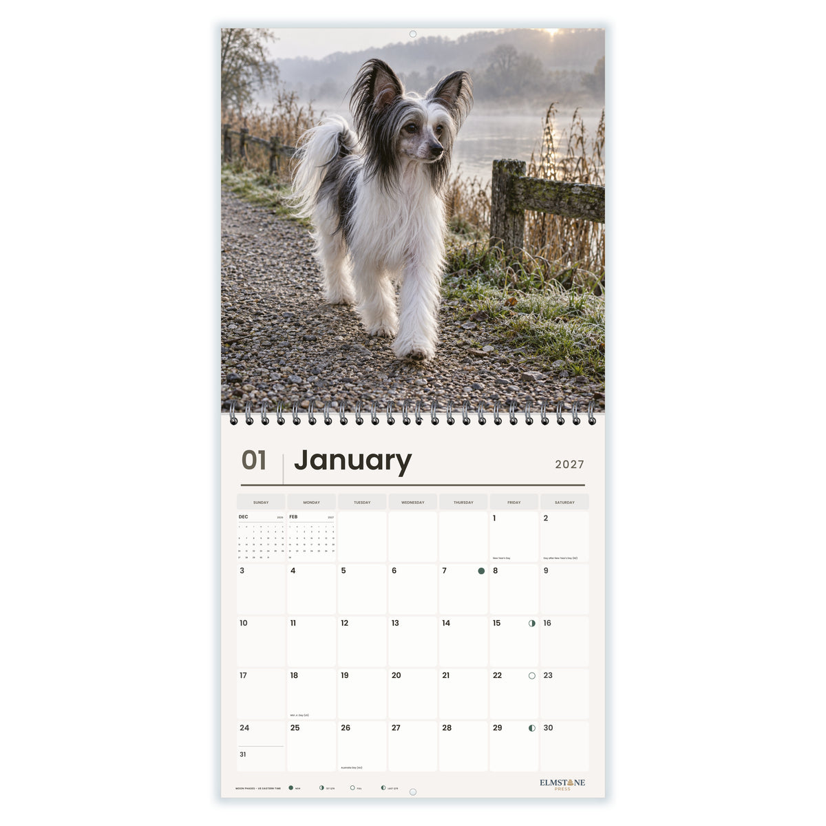 Chinese_Cresteds_-_649310203352_-_02-january-open-white.jpg