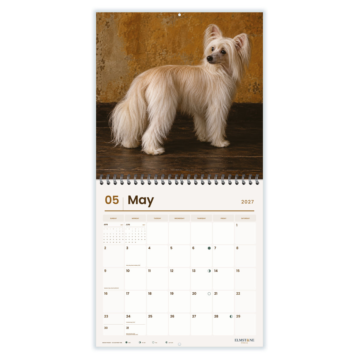 Chinese_Cresteds_-_649310203352_-_03-may-open-white.jpg