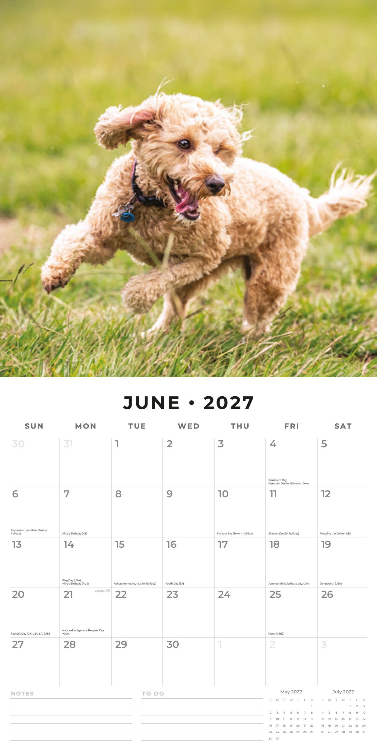2027 Cockapoos - Square Wall Calendar