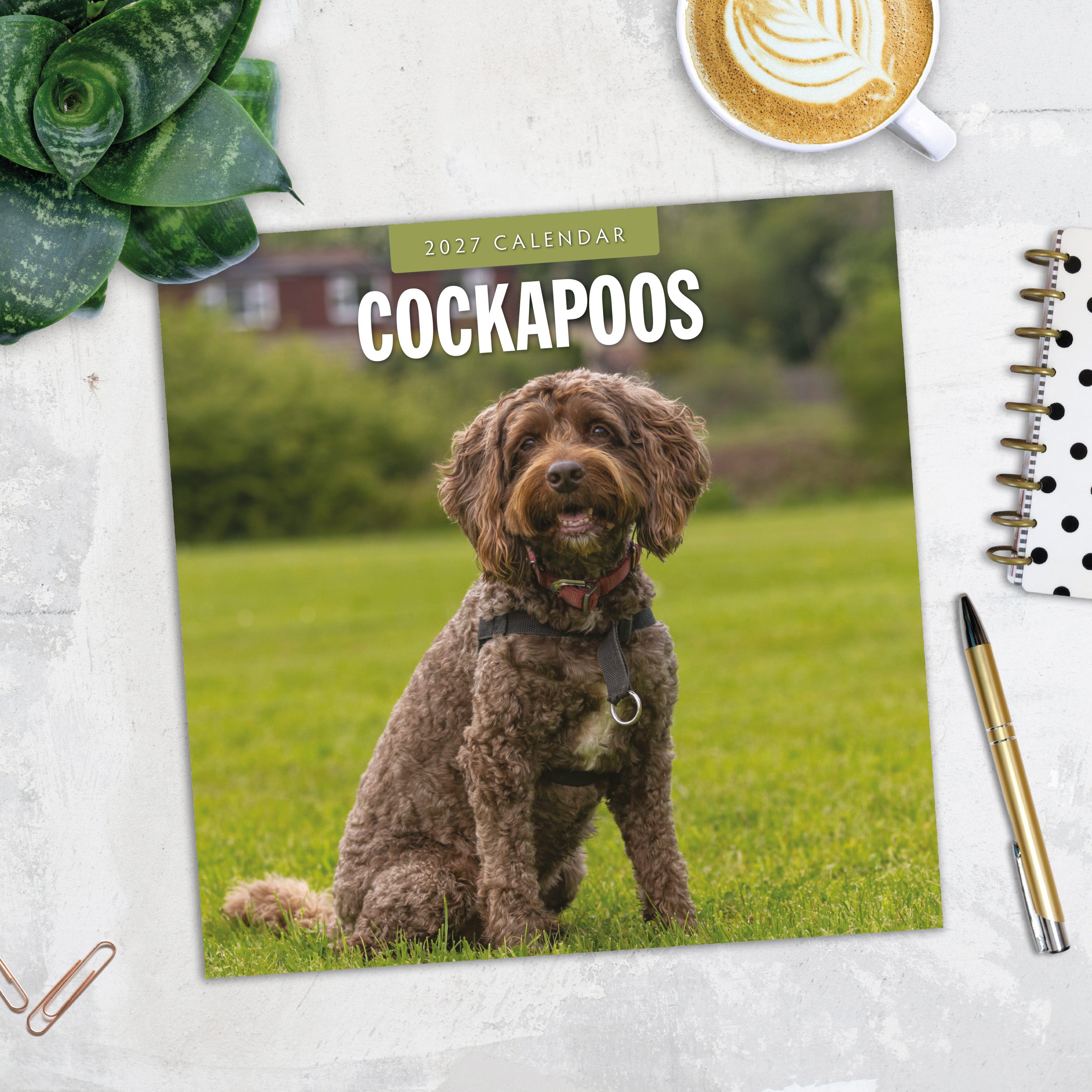 2027 Cockapoos - Square Wall Calendar