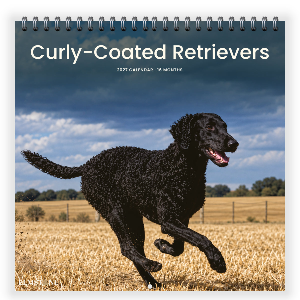 Curly-Coated_Retrievers_-_649310203369_-_01-front-cover-white.jpg