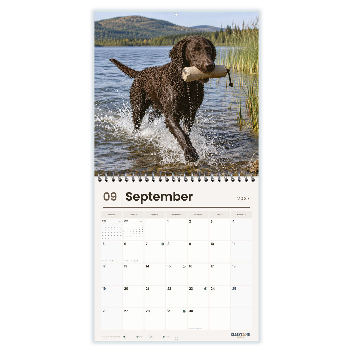 Curly-Coated_Retrievers_-_649310203369_-_04-september-open-white.jpg
