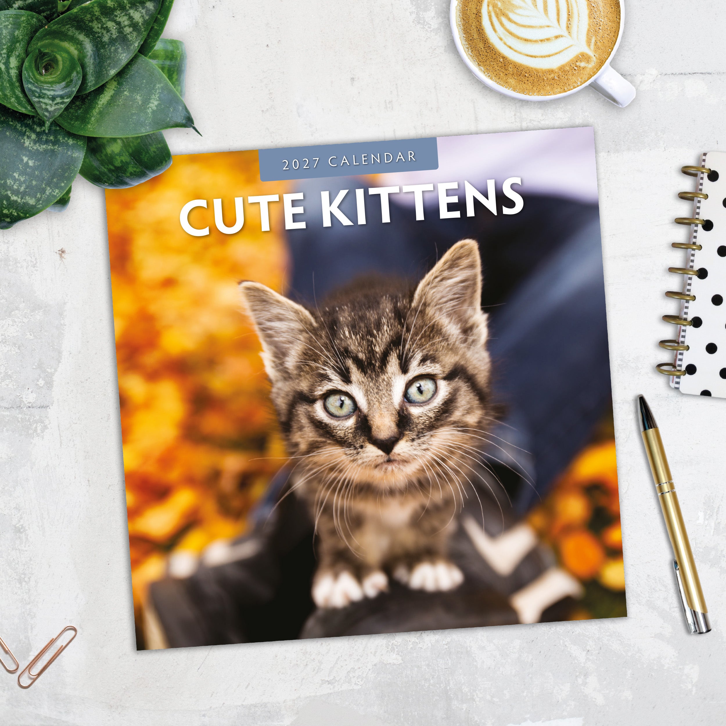 2027 Cute Kittens - Square Wall Calendar