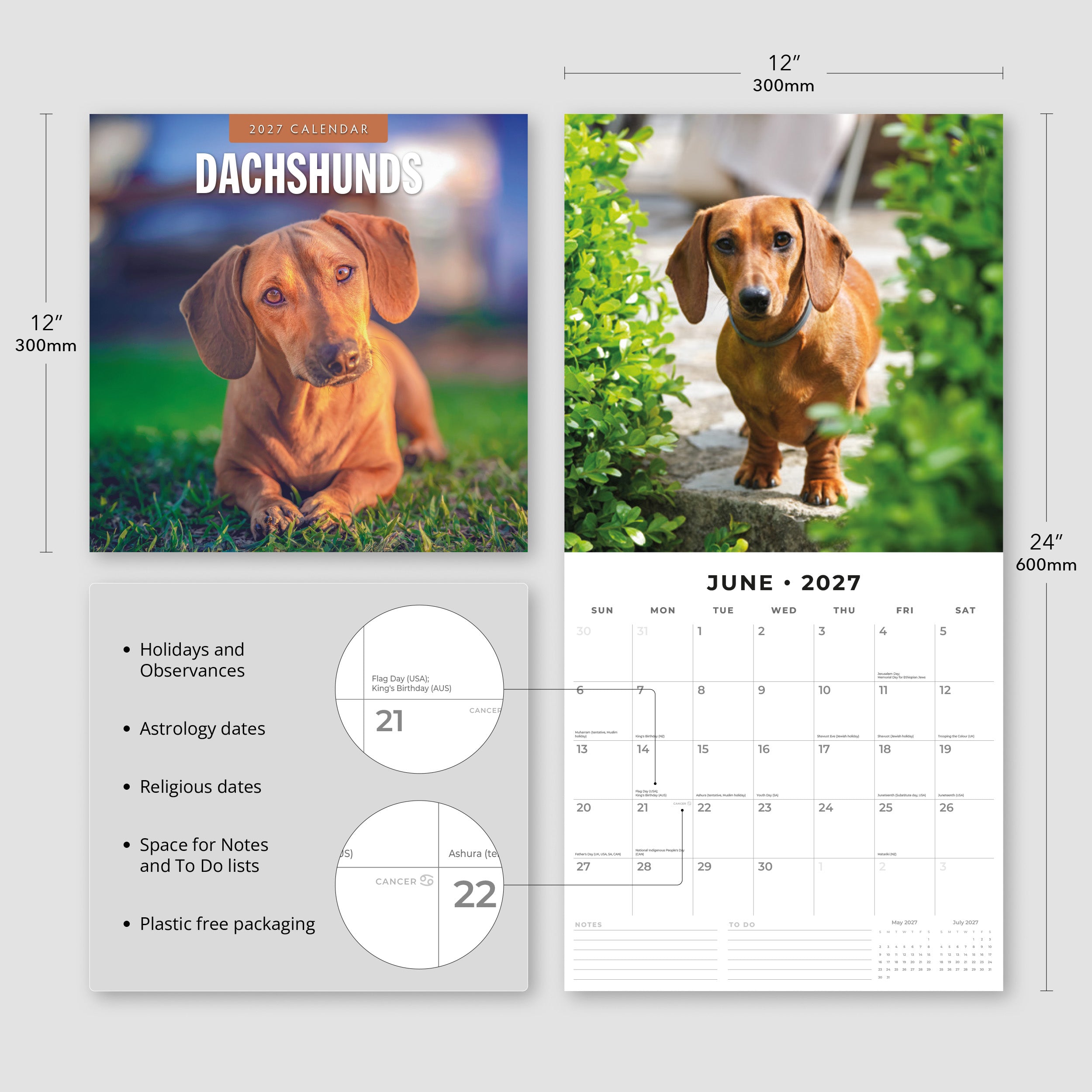 2027 Dachshunds - Square Wall Calendar