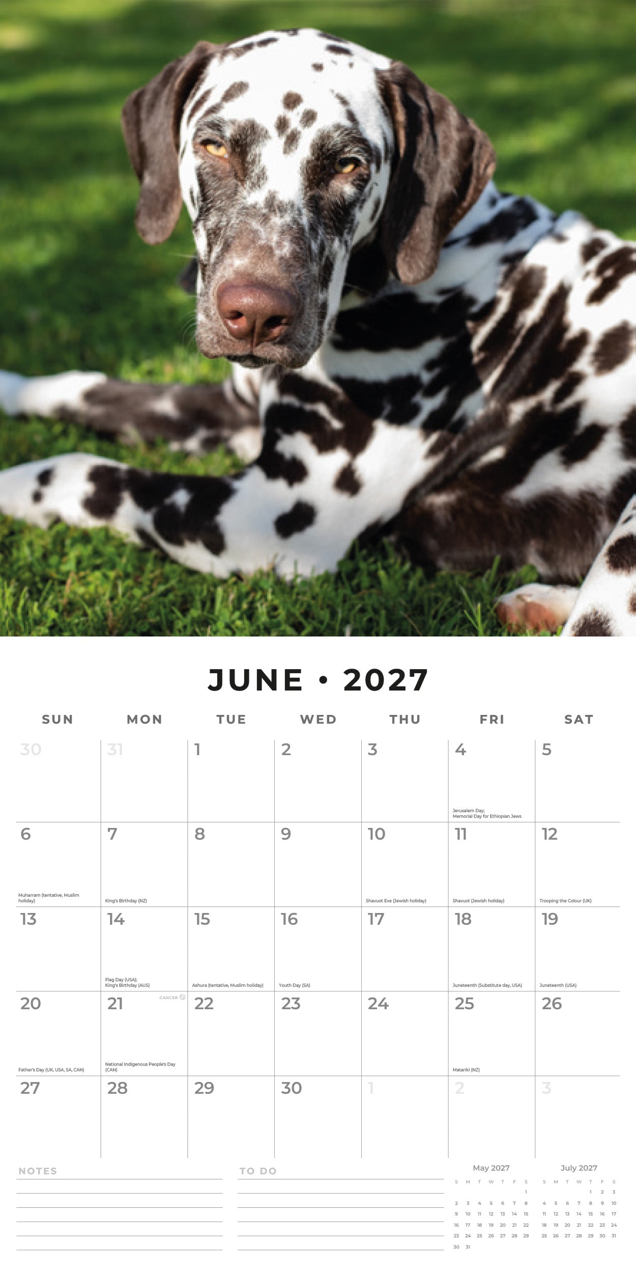 2027 Dalmatians - Square Wall Calendar