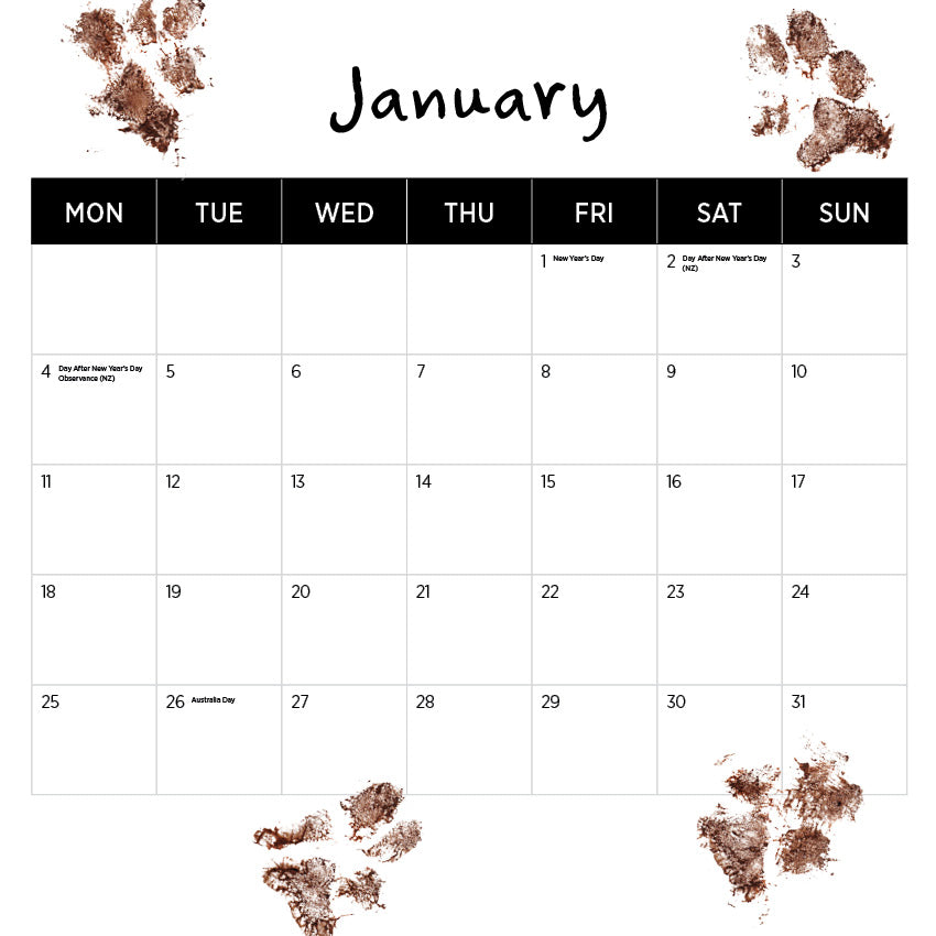 2027 Dogs Life - Square Wall Calendar