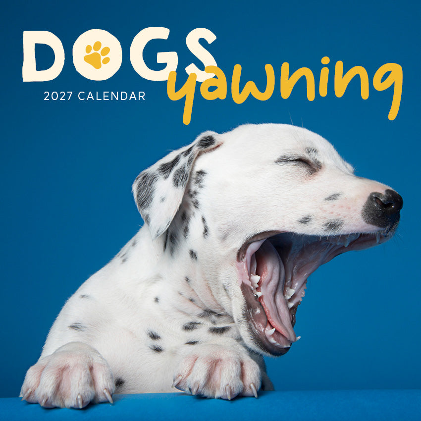 2027 Dogs Yawning - Square Wall Calendar