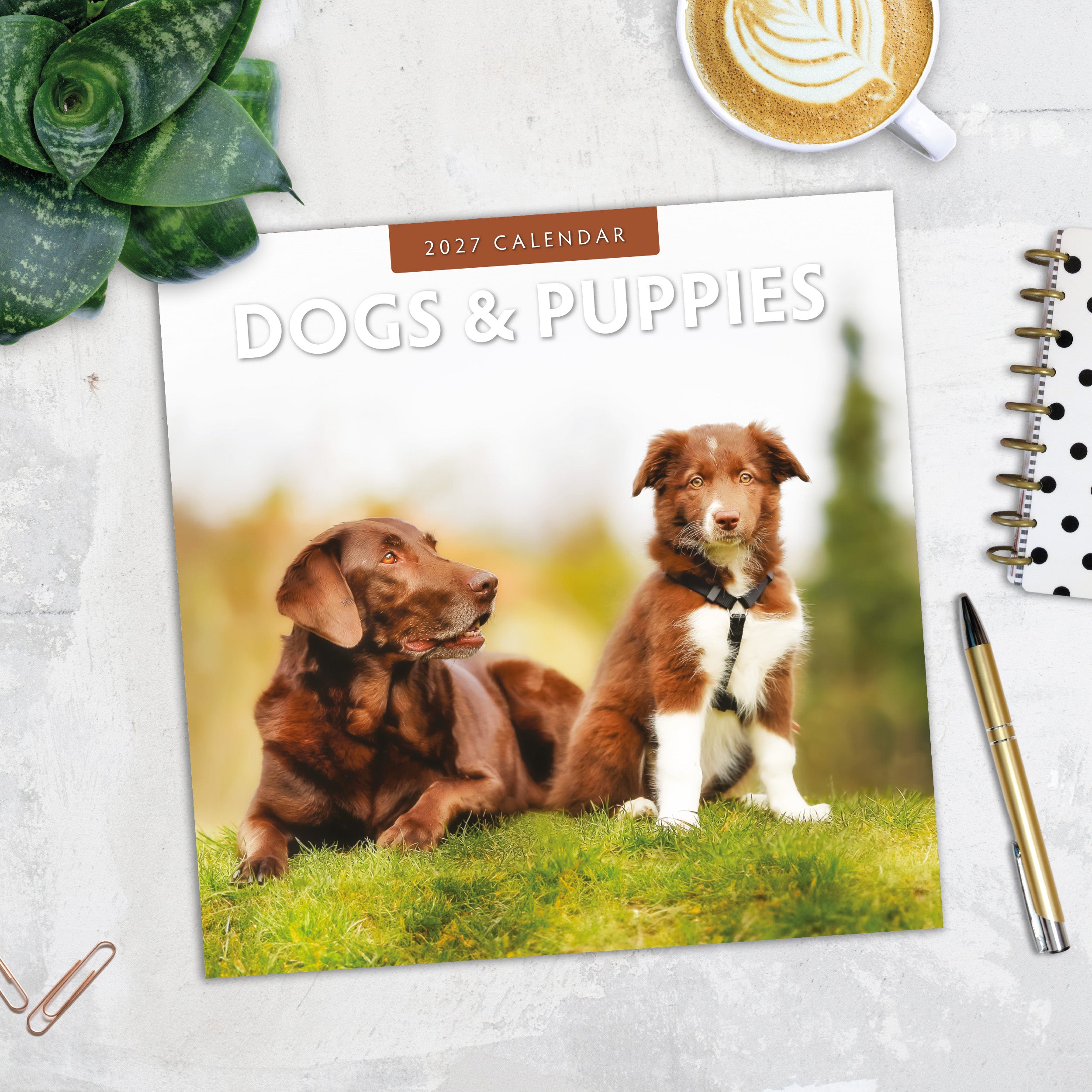 2027 Dogs & Puppies - Square Wall Calendar