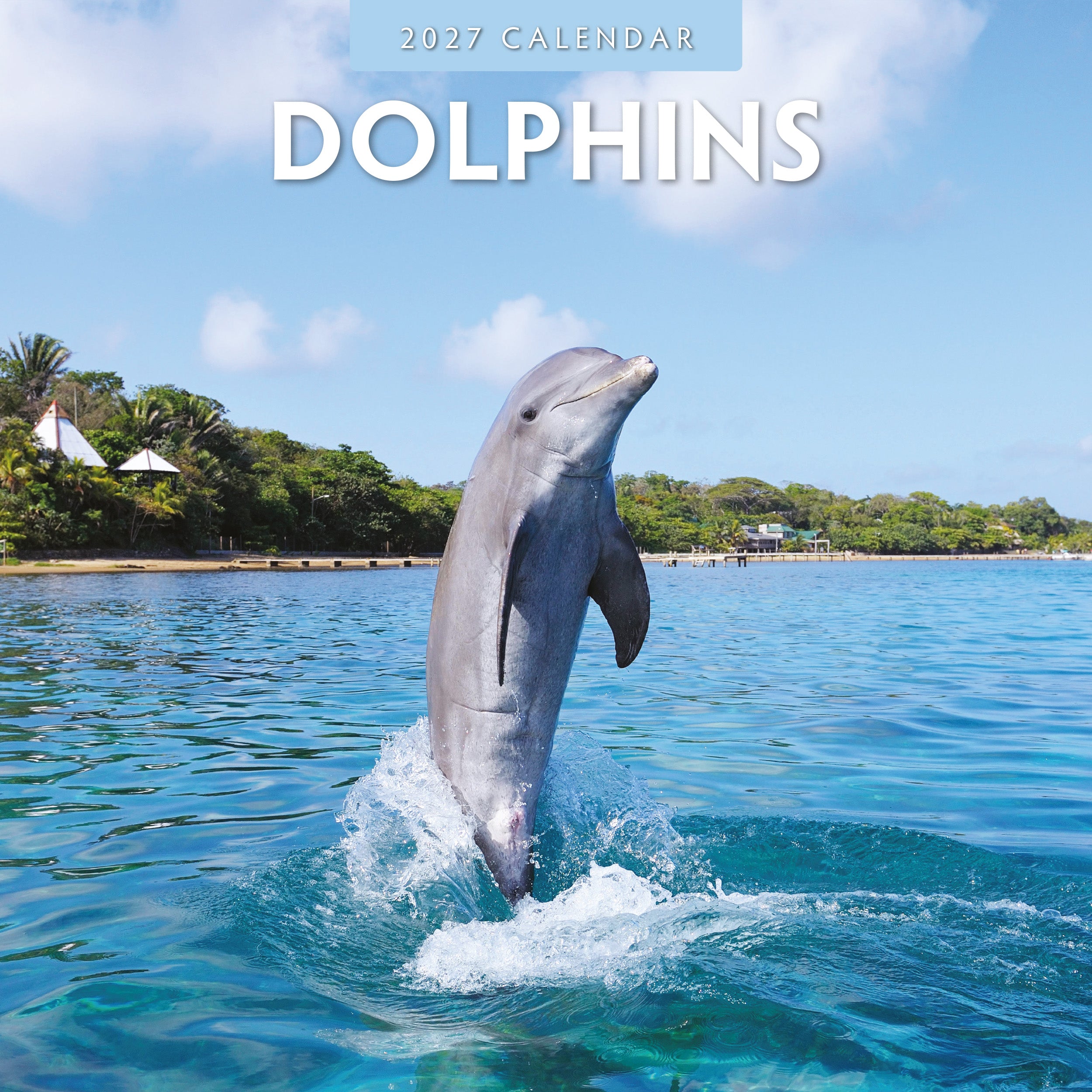 2027 Dolphins - Square Wall Calendar